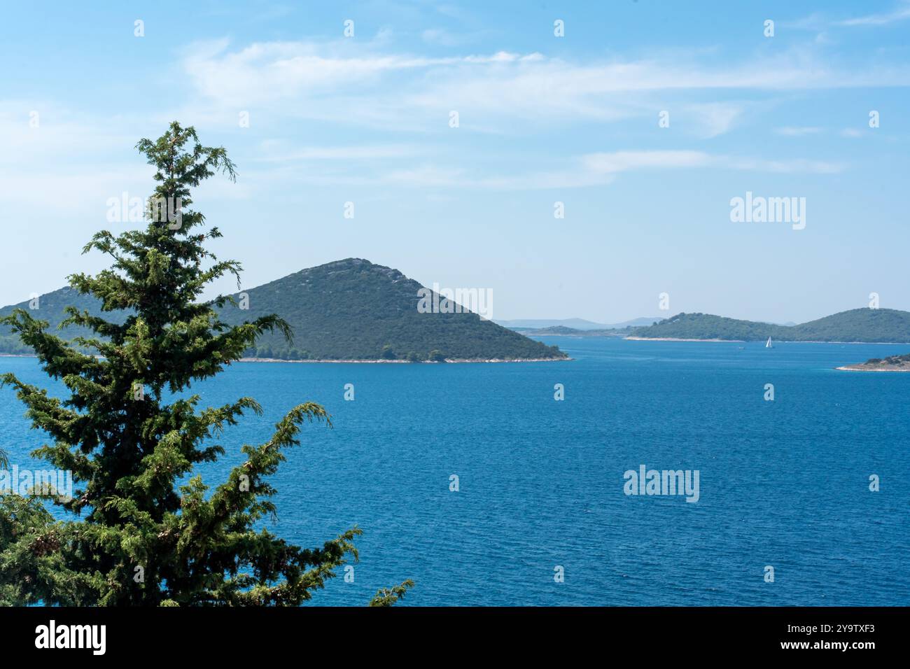 Bellissimo mare Adriatico e lontane isole verdi in una giornata di sole con un pino in primo piano. Foto Stock