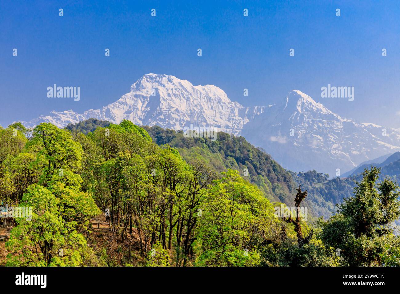 Annapurna vetta meridionale dell'Himalaya vicino a Pokhara, Nepal. Montagna a coda di pesce con neve, ghiaccio e rocce splendida vetta nella catena dell'Annapurna Foto Stock