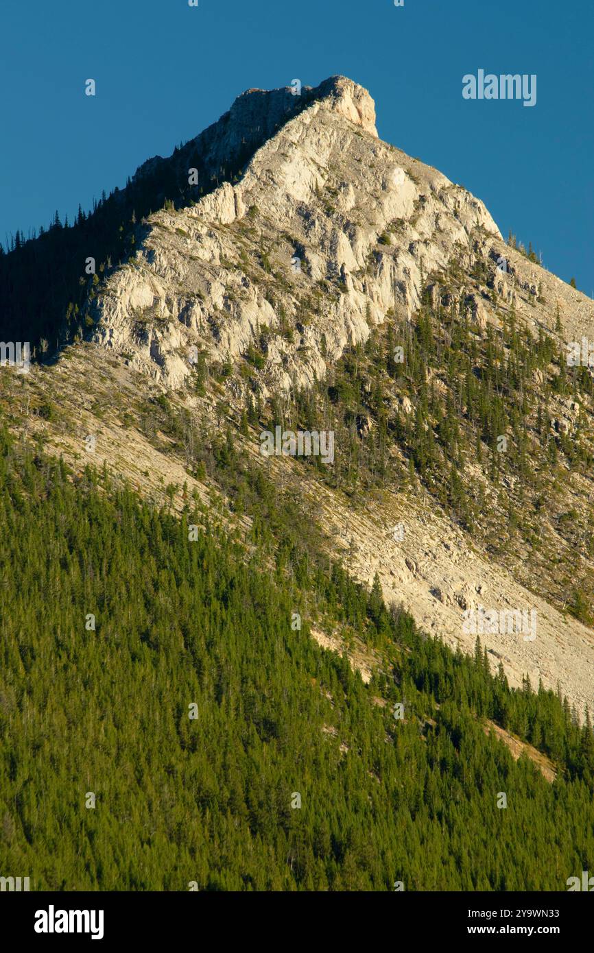 Sawtooth Range si estende lungo il fiume North Fork Teton, la Lewis and Clark National Forest, Montana Foto Stock