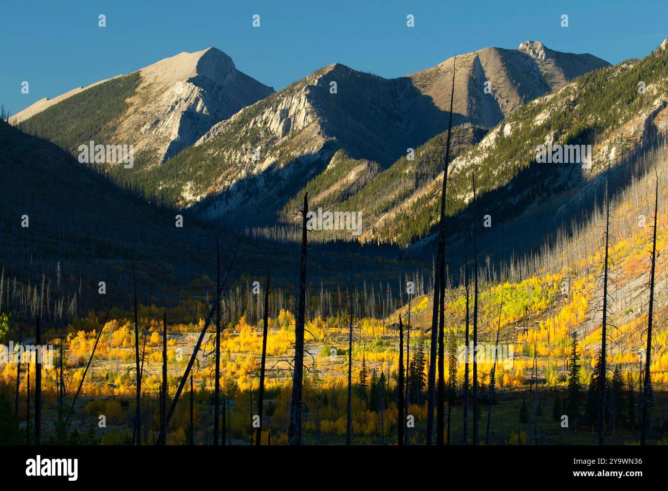 Sawtooth Range si estende lungo il fiume North Fork Teton, la Lewis and Clark National Forest, Montana Foto Stock