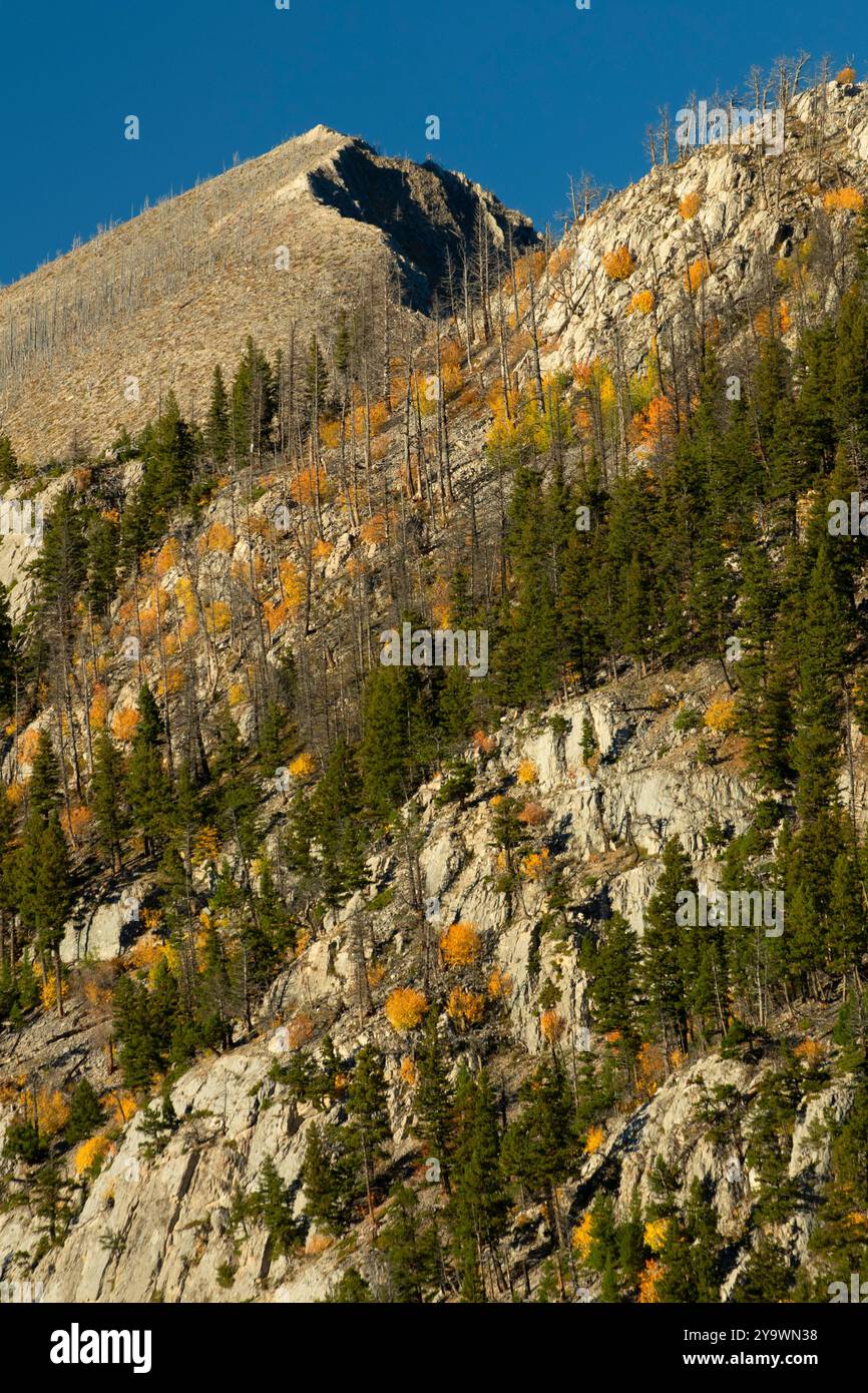 Sawtooth Range si estende lungo il fiume North Fork Teton, la Lewis and Clark National Forest, Montana Foto Stock