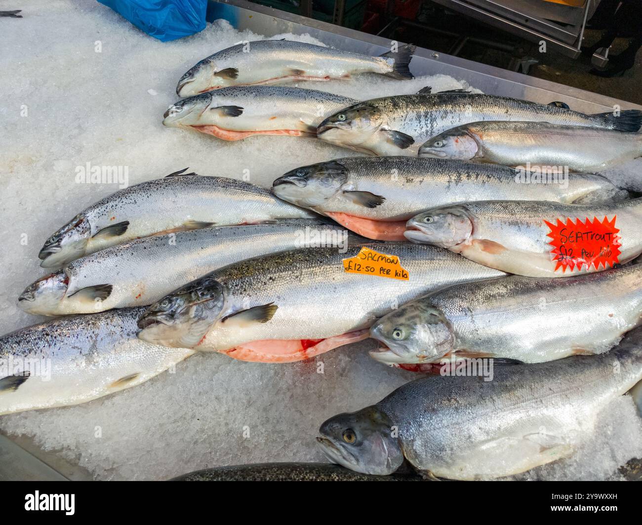 Pesce fresco e frutti di mare in vendita al St George's Market, Belfast, Irlanda del Nord. Foto Stock