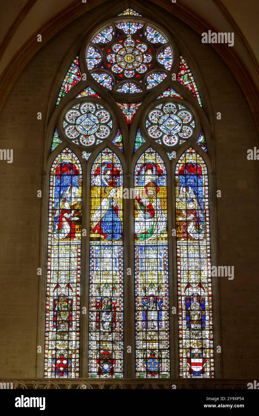 Francia, Meurthe et Moselle, Toul, cattedrale di Saint Etienne costruita tra il XIII e il XVI secolo in stile gotico sgargiante, vetrata del transetto settentrionale realizzata nel 1503 da Jean le Verrier che rappresenta l'incoronazione della Vergine Maria, sotto da sinistra a destra Saint Etienne, la Vergine che tiene il bambino, San Giovanni Battista, San Gerardo, sotto lo stemma di tre donatori il capitolo, cardinale Raymond Perraud, Canon Nicolas le sane e lo stemma di San Gerardo, in cima al rosone un sole al centro Foto Stock