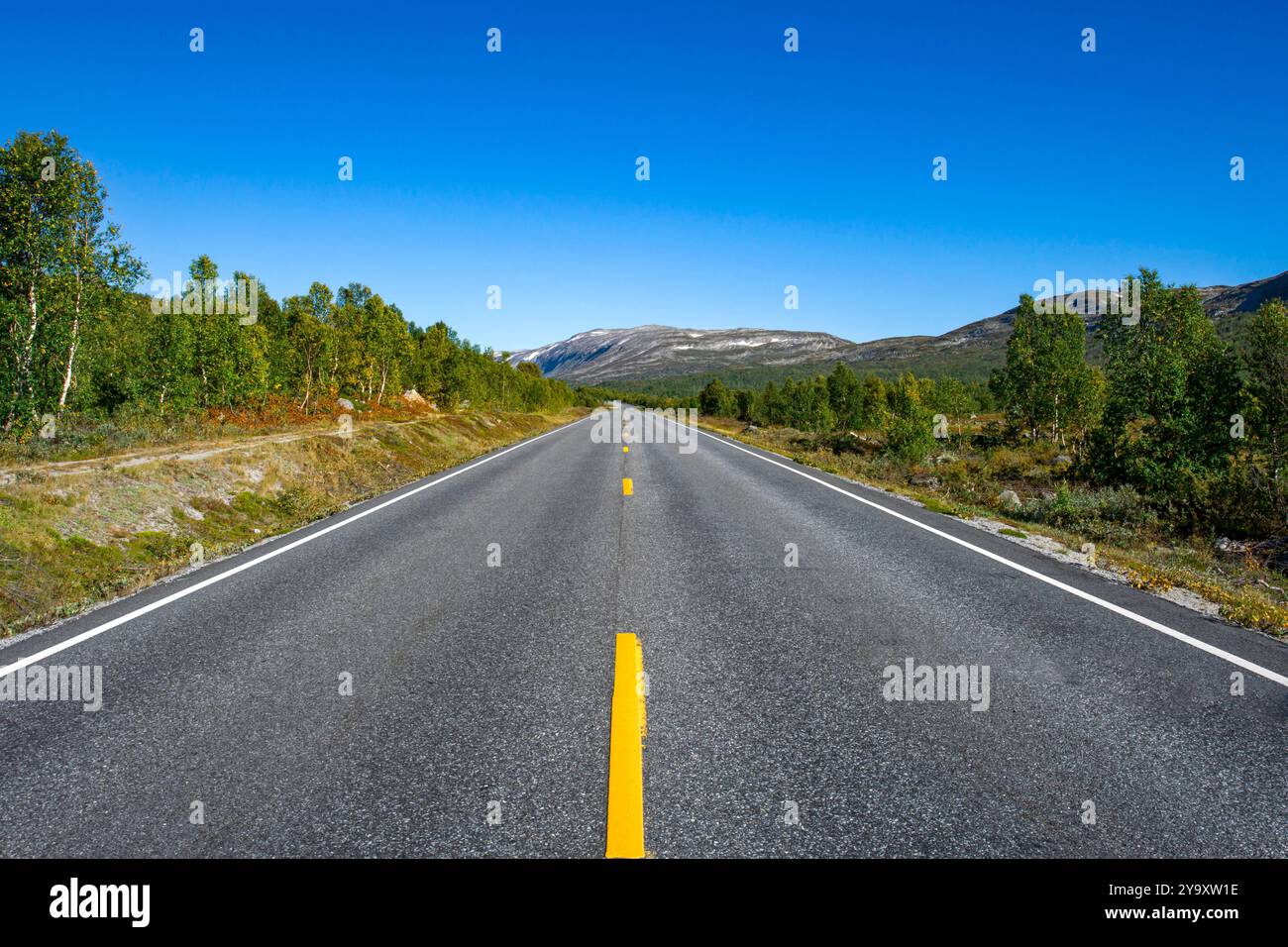 Norvegia, Vestland, Jostedalsbreen National Park, strada 55 che attraversa il parco Foto Stock
