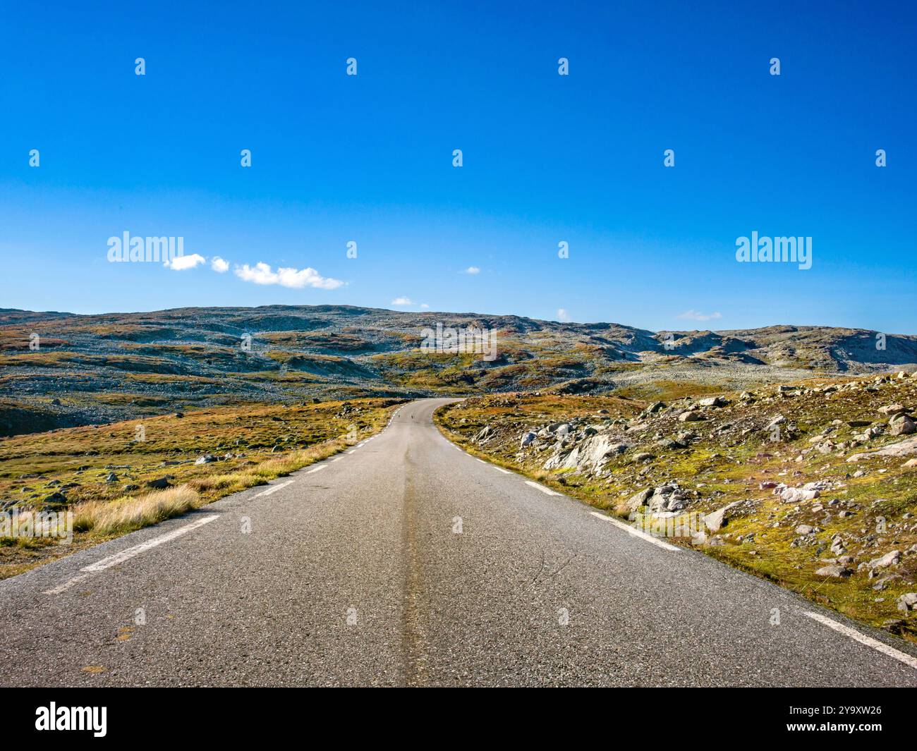 Norvegia, Vestland, Jostedalsbreen National Park, strada 55 che attraversa il parco Foto Stock