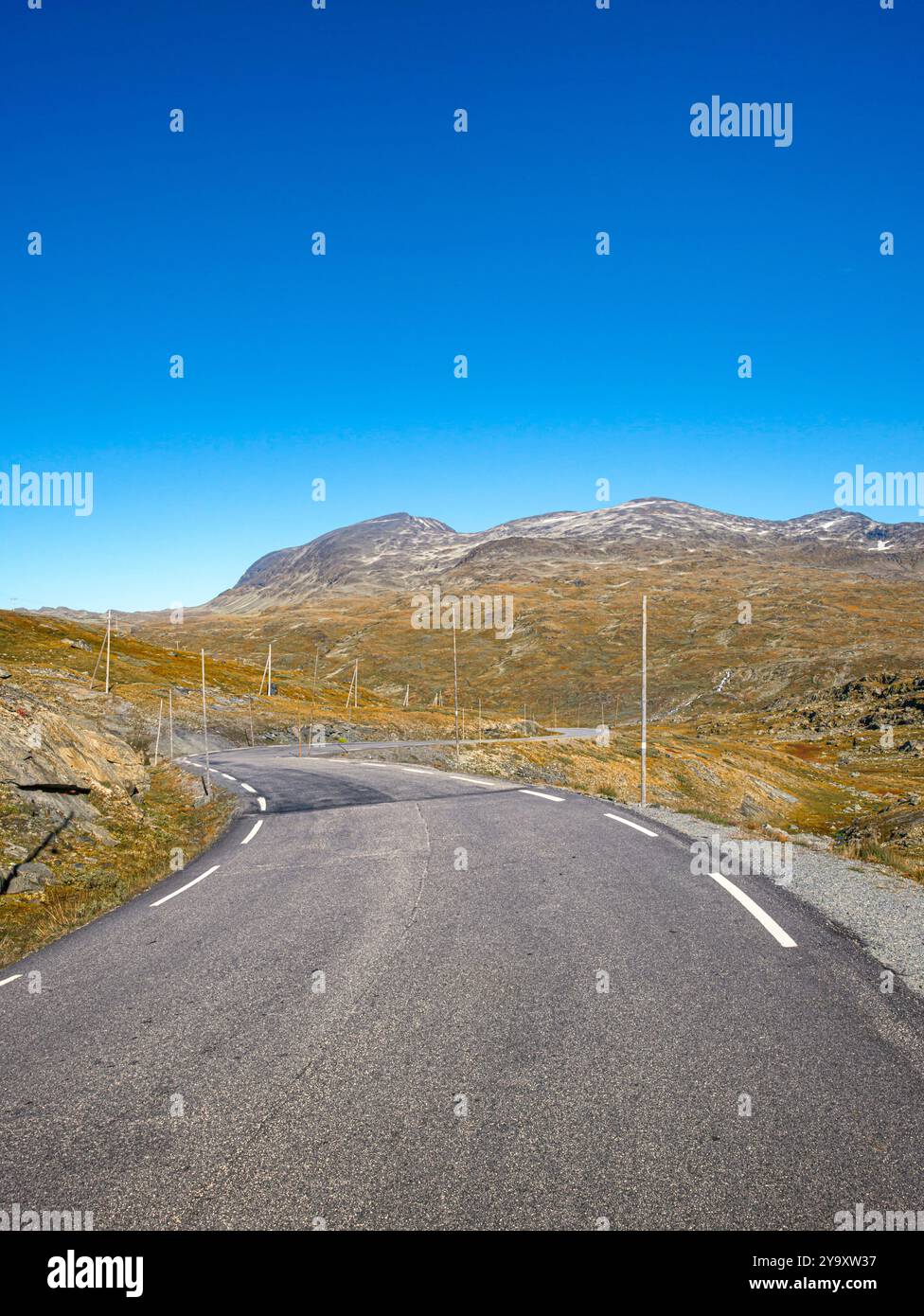 Norvegia, Vestland, Jostedalsbreen National Park, strada 55 che attraversa il parco Foto Stock