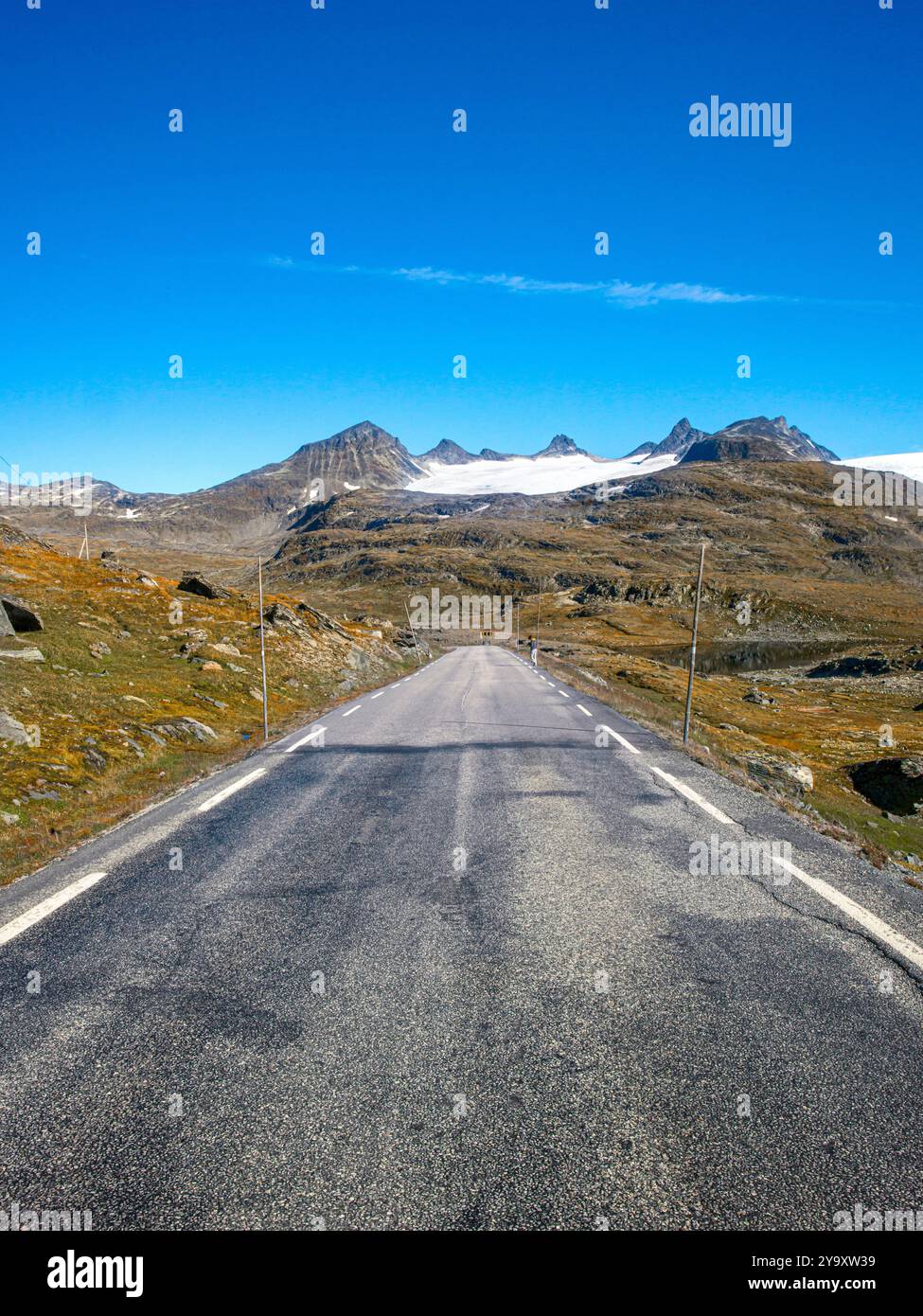 Norvegia, Vestland, Jostedalsbreen National Park, strada 55 che attraversa il parco Foto Stock