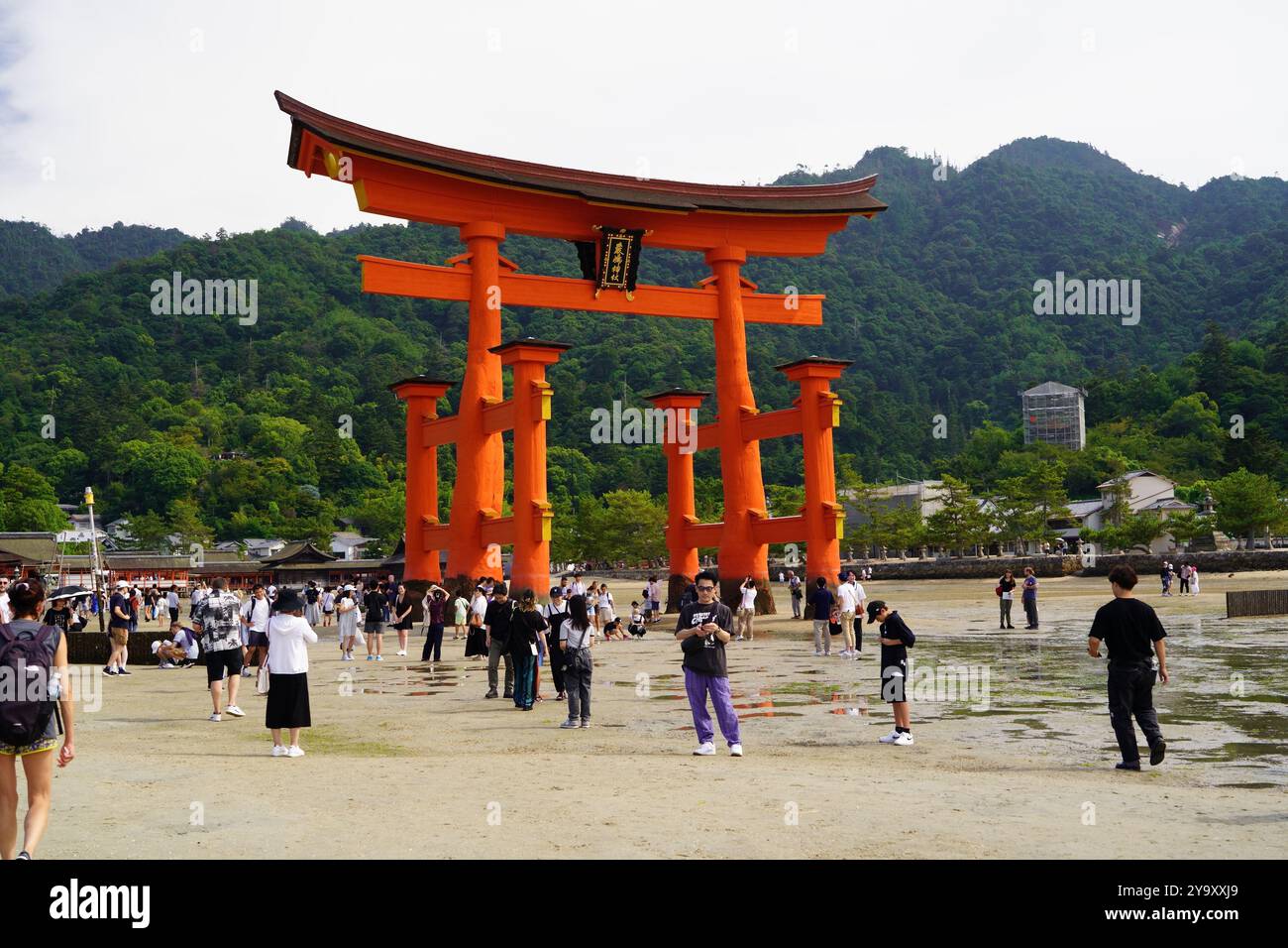 Itsukushima è un'isola nella parte occidentale del Mar interno del Giappone, situata nel nord-ovest della baia di Hiroshima. È popolarmente conosciuta come Miyajima Foto Stock