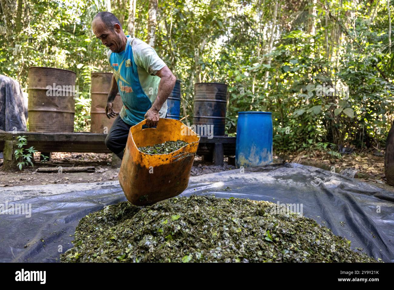 Colombia, dipartimento di Meta, laboratorio clandestino di lavorazione della coca nel cuore dell'Amazzonia, la foglia di coca viene mescolata con cemento, benzina, acido cloridrico per ottenere la pasta di coca (pasta) detta anche base che è la prima fase di lavorazione prima di ottenere la cocaina Foto Stock