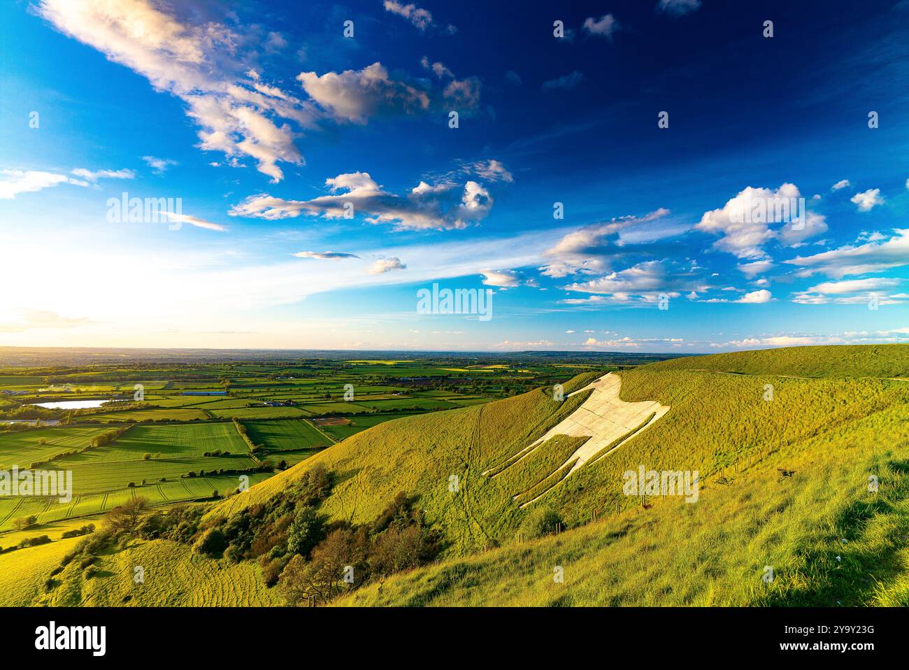 Cavallo bianco di Westbury da un punto di vista nel Wiltshire regno unito Foto Stock