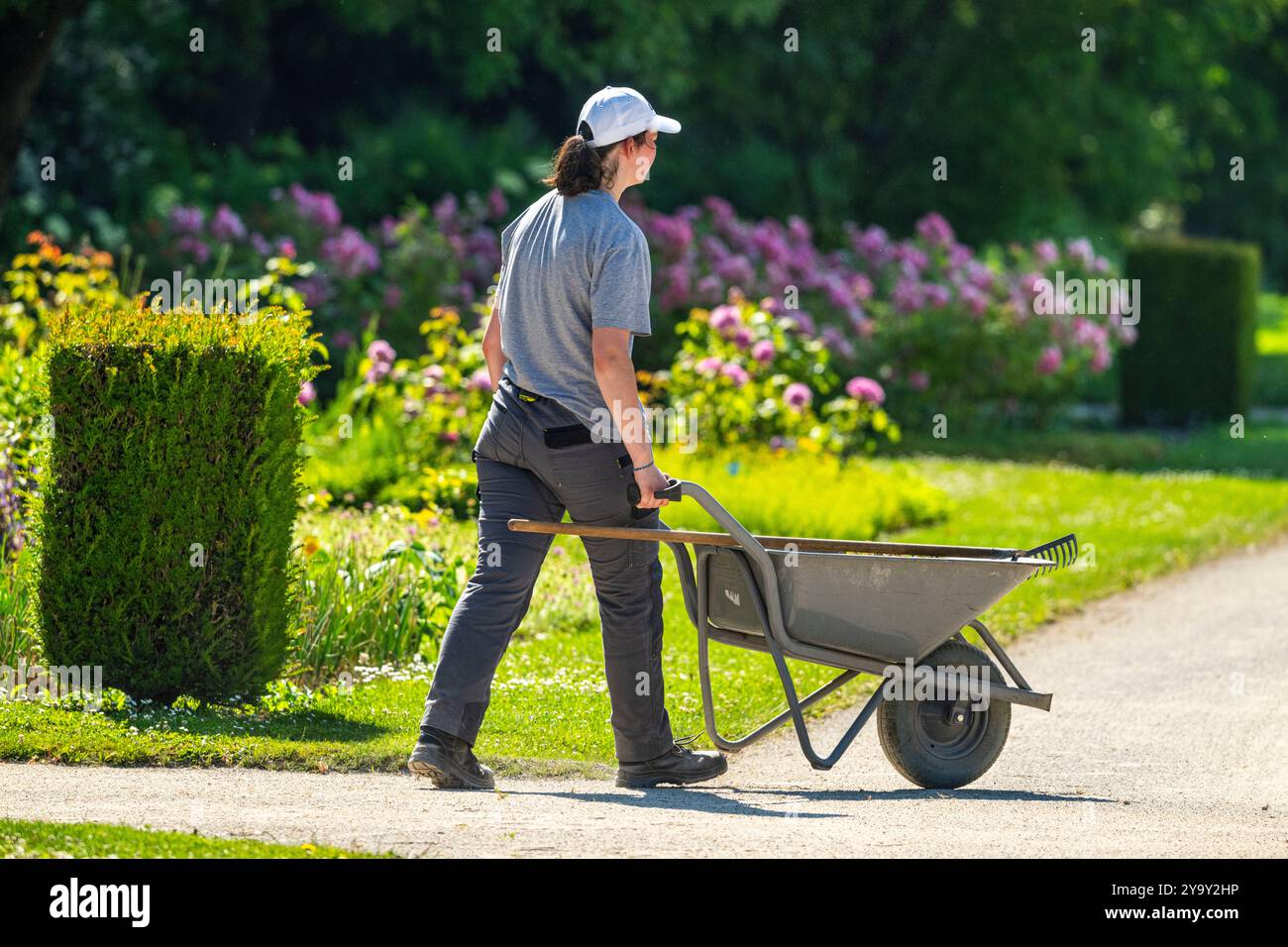 France, somme, Argoules, Les jardins de Valloires, Jardins de Valloires si trovano nella valle dell'Authie ai piedi di una maestosa abbazia cistercense e sono opera del giardiniere Gilles Clément. Elencati come un giardino notevole, i Jardins de Valloires sono uno scrigno di oltre 5.000 specie sparse su 8 ettari. Non c'è uno ma cinque giardini d'atmosfera da visitare con il cambio delle stagioni (vista aerea) Foto Stock