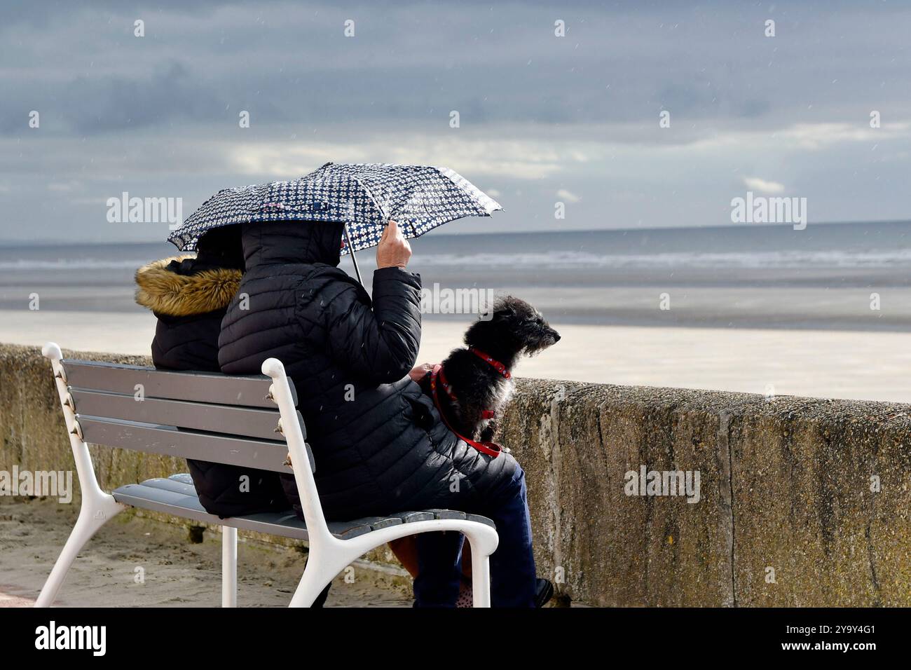 Francia, somme, spiaggia di Fort-Mahon, turisti e il loro cane su una panchina al riparo sotto un ombrellone Foto Stock