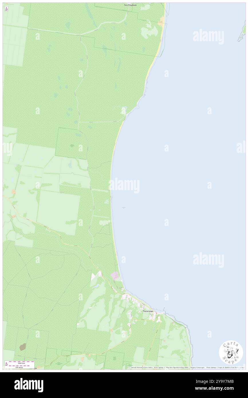 Sea Elephant Bay, ( AU), Australia, Tasmania, s 39 52' 48'', N 144 6' 36'', MAP, Cartascapes Map pubblicata nel 2024. Esplora Cartascapes, una mappa che rivela i diversi paesaggi, culture ed ecosistemi della Terra. Viaggia attraverso il tempo e lo spazio, scoprendo l'interconnessione del passato, del presente e del futuro del nostro pianeta. Foto Stock