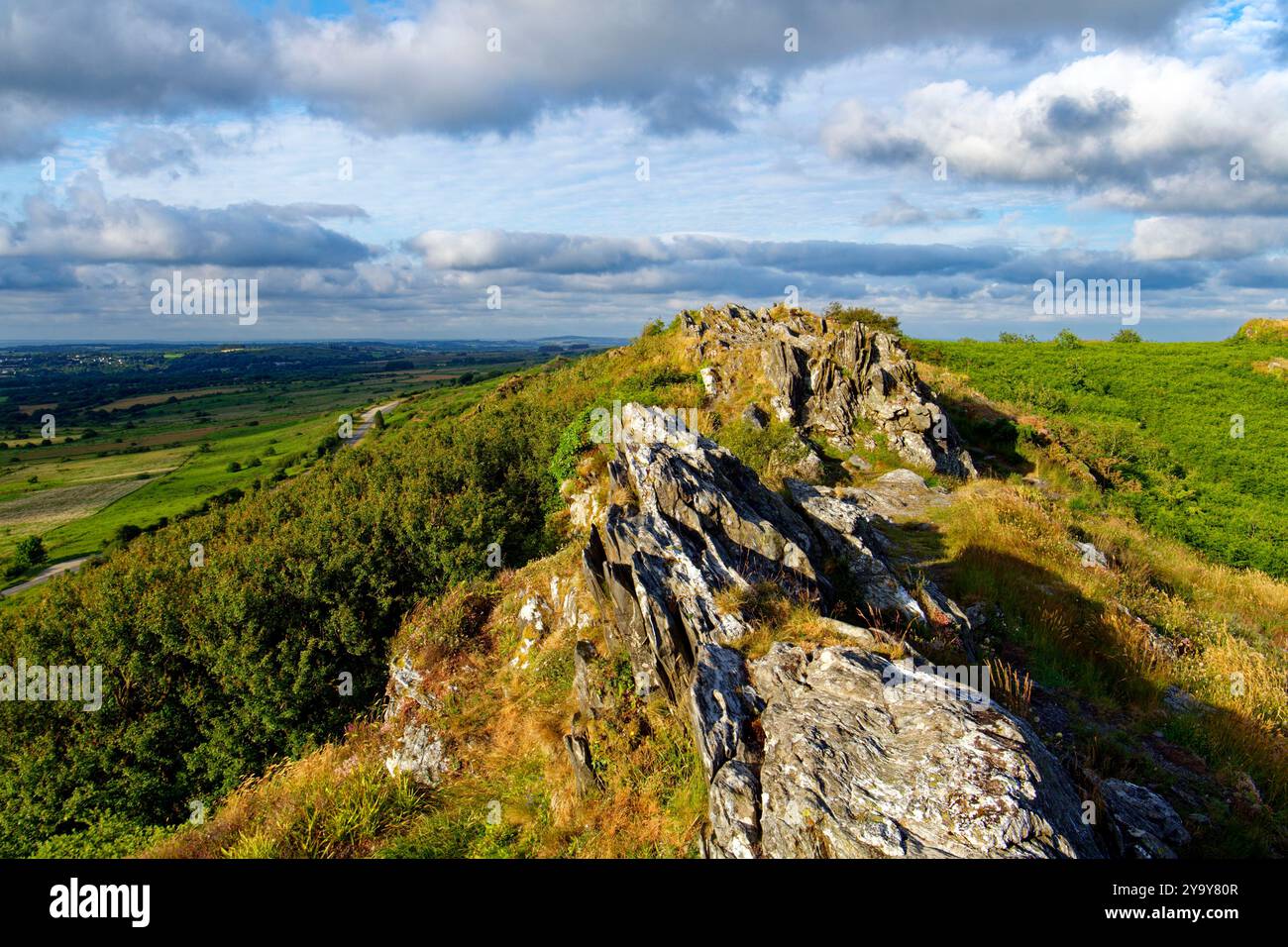 Francia, Finisterre, Parc Naturel Regional d'Armorique (parco naturale regionale di Armorique), Plouneour Menez, Monts d'Arree, Roc Tr ezel Foto Stock