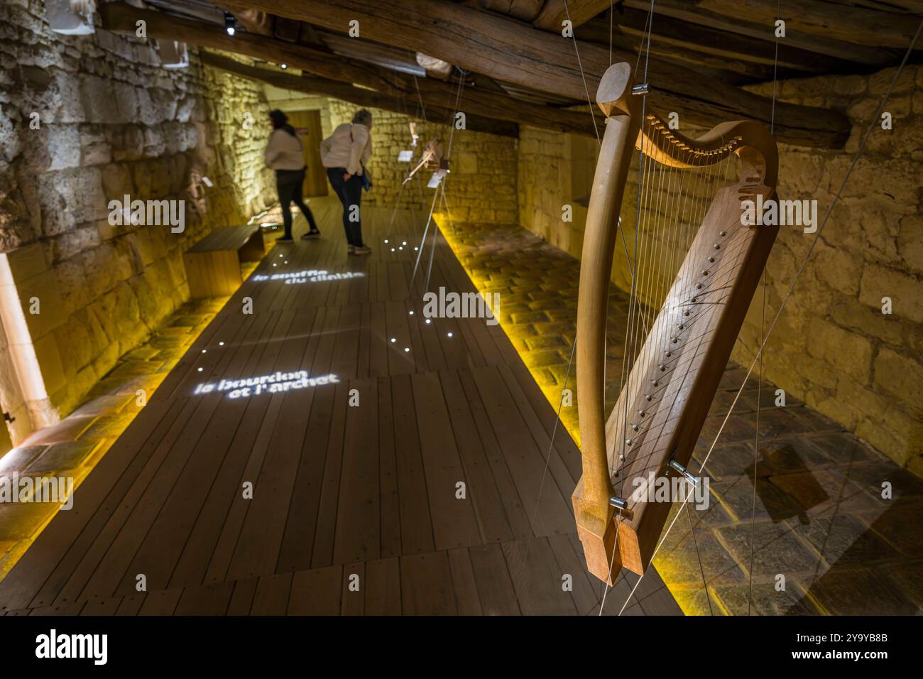 Francia, Vendee, Nieul-sur-l'Autise, Abbazia reale di Saint-Vincent, stanza degli strumenti antichi, arpa Foto Stock