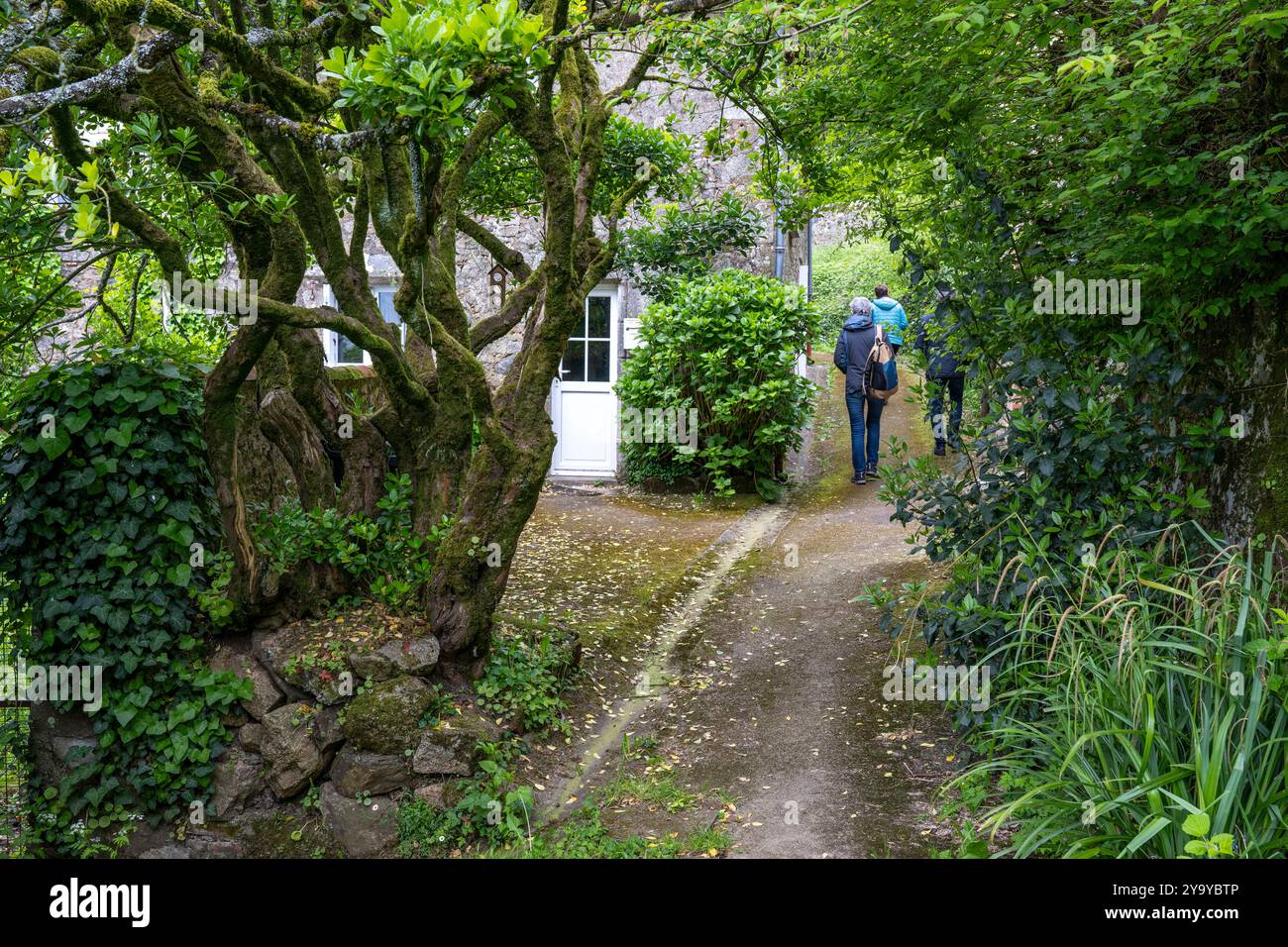 Francia, Vendee, Pouzauges, uno dei tanti vicoli che attraversano la città vecchia Foto Stock