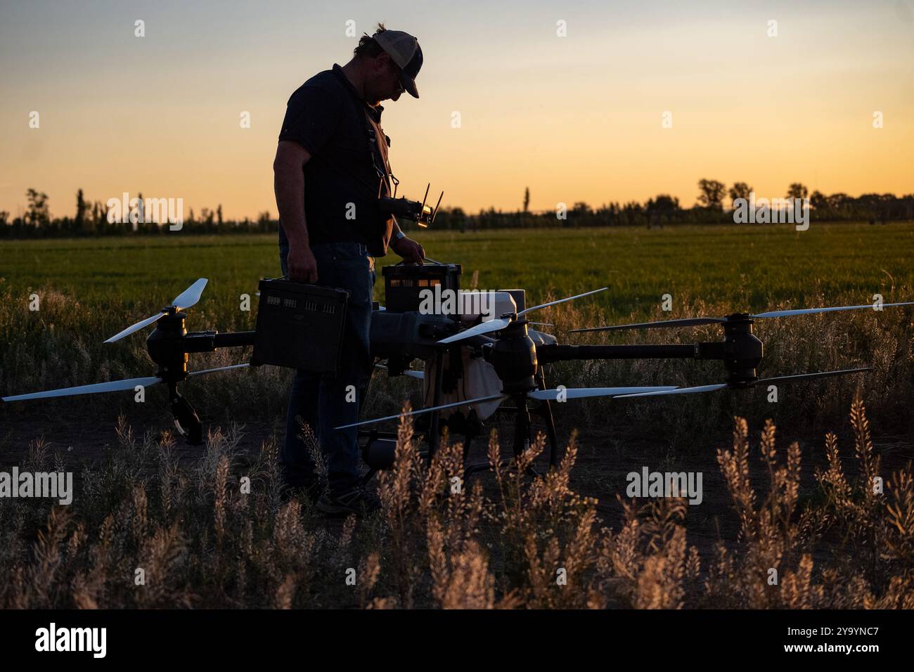 Pilota drone agricolo che sostituisce le batterie al crepuscolo. Foto Stock