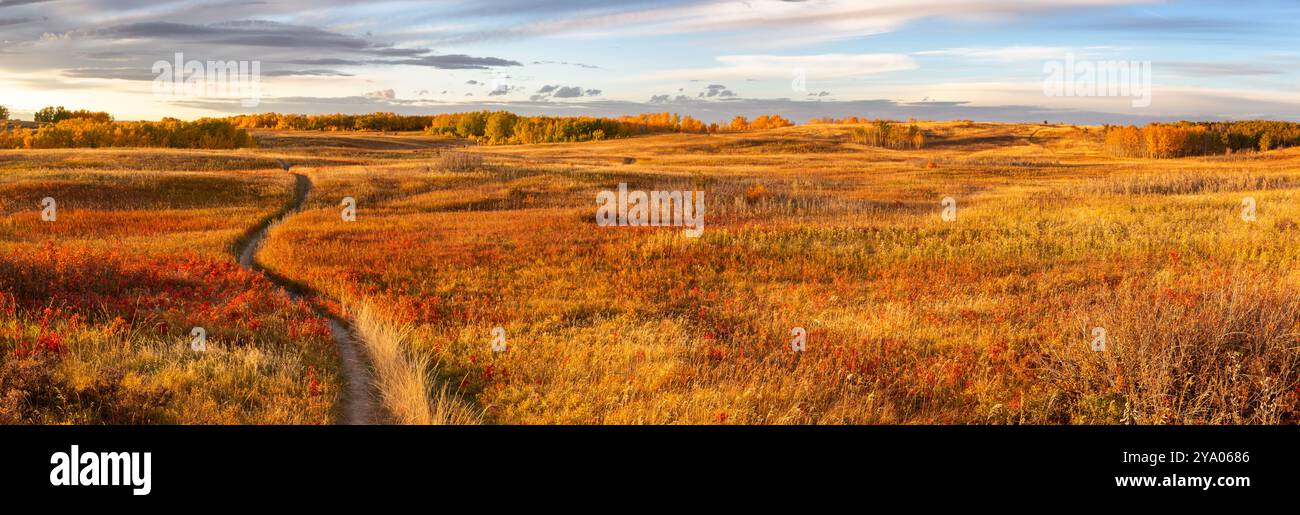 Paesaggio panoramico del Parco cittadino urbano di nose Hill Calgary Alberta. Sentiero escursionistico sentiero pedonale vibrante Autumn Colour Change Natural Prairie Grassland Horizon Foto Stock