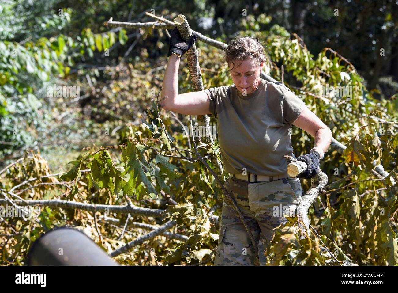 Gaffney, Carolina del Sud, Stati Uniti. 2 ottobre 2024. Il Master Sgt. Elizabeth Sailer, un vigile del fuoco con il 169th Civil Engineer Squadron, South Carolina Air National Guard, trasporta rami d'albero per assistere nella rimozione dei detriti a Gaffney, South Carolina, dopo la tempesta tropicale Helene, 2 ottobre 2024. La Guardia Nazionale della Carolina del Sud ha più di 900 avieri e soldati schierati in tutto lo stato, rispondendo alle richieste di soccorso in caso di disastri da parte di agenzie federali, locali e statali. (Credit Image: © U.S. National Guard/ZUMA Press Wire) SOLO PER USO EDITORIALE! Non per USO commerciale! Foto Stock