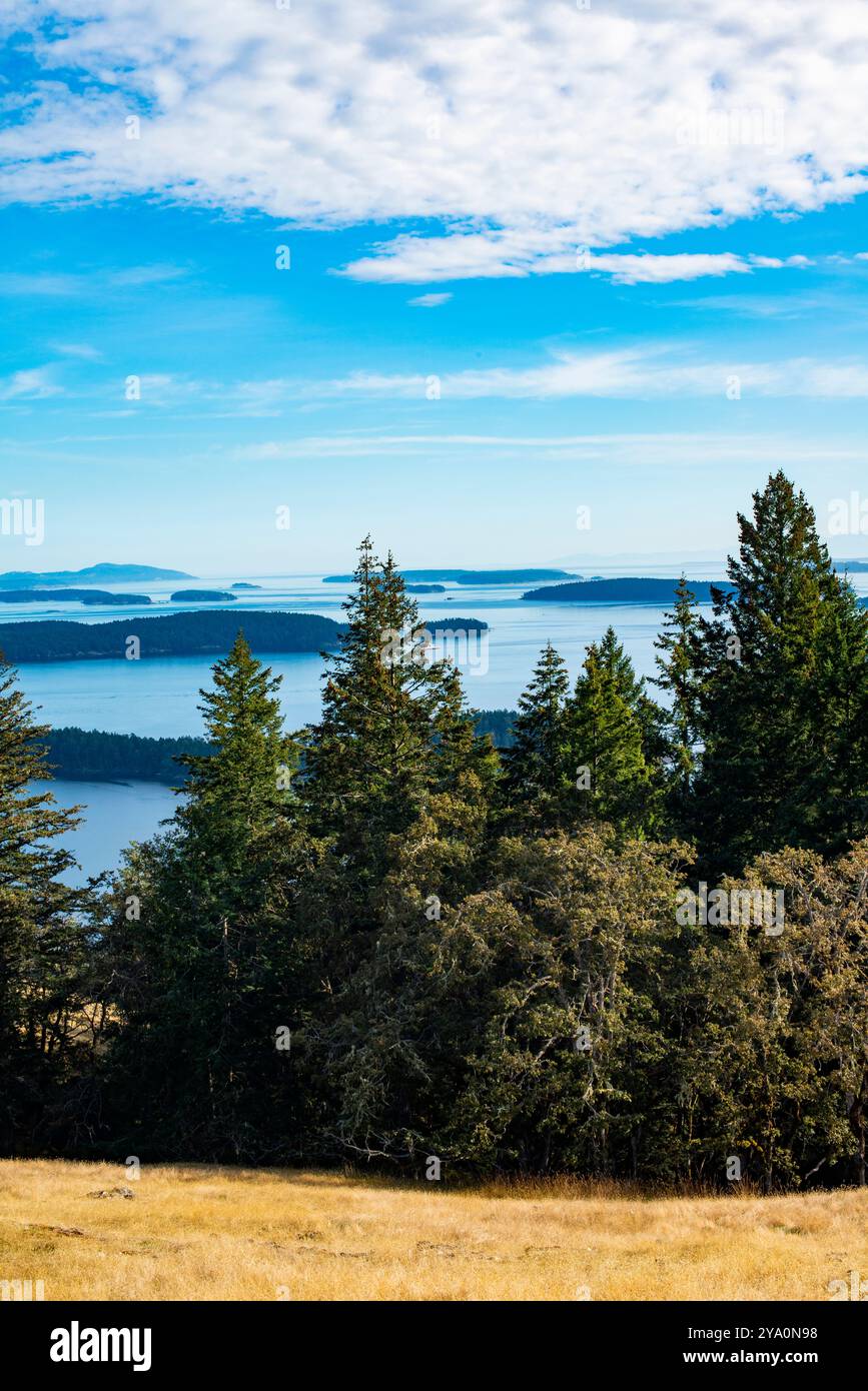 Vista a sud da Reginald Ridge, guardando altre isole del Golfo, Salt sprng Island, British Columbia, Canada. Foto Stock