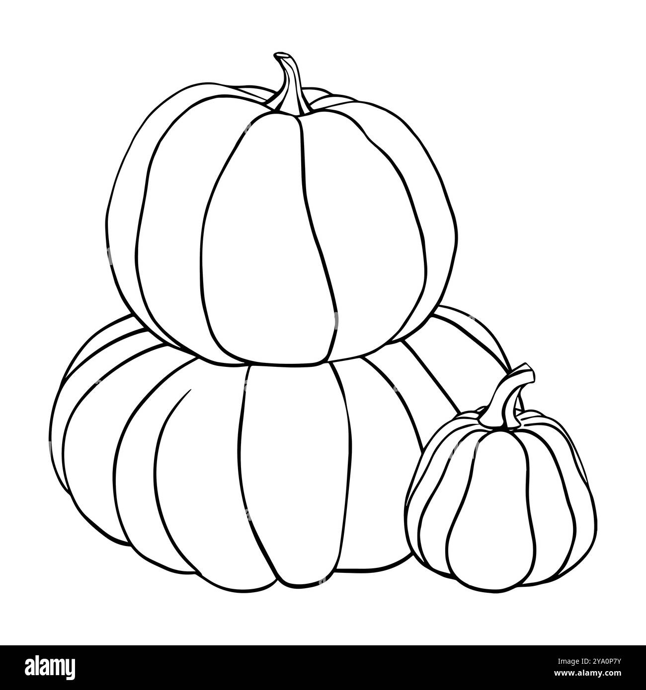 Schizzo lineare di una composizione di zucca. Illustrazione Autunno Vector dipinta da inchiostri neri. Il disegno lineare del contorno fa cadere gli ortaggi su isolati Illustrazione Vettoriale