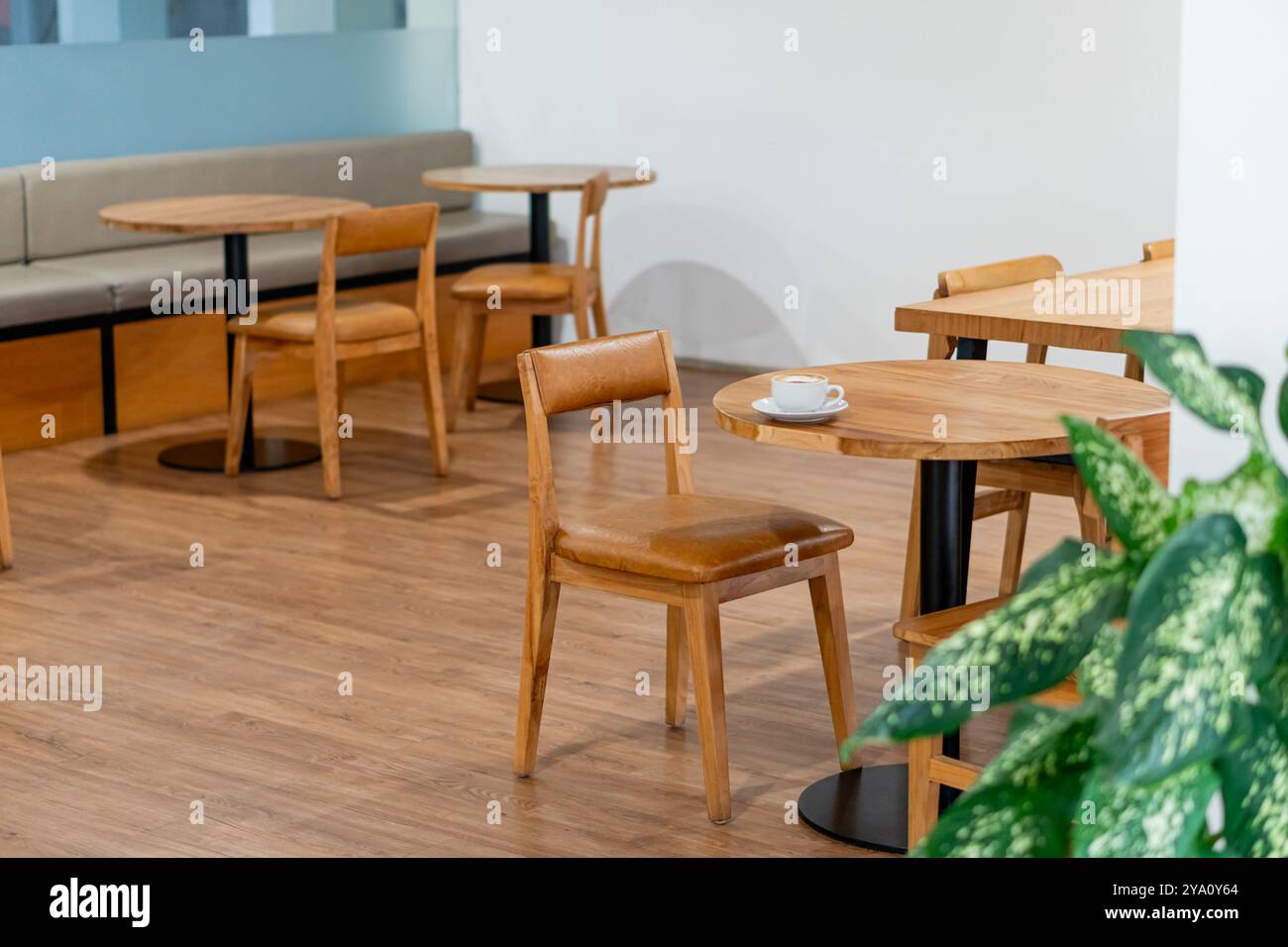 Un intimo caffè interno caratterizzato da tavoli e sedie in legno. Lo spazio è ben illuminato con un design minimalista, con alcuni tavoli vuoti e un vaso Foto Stock