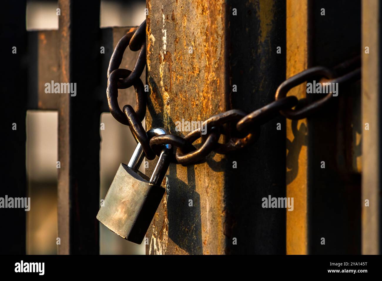 Lucchetto e catena sul cancello a griglia in ferro in Brasile Foto Stock