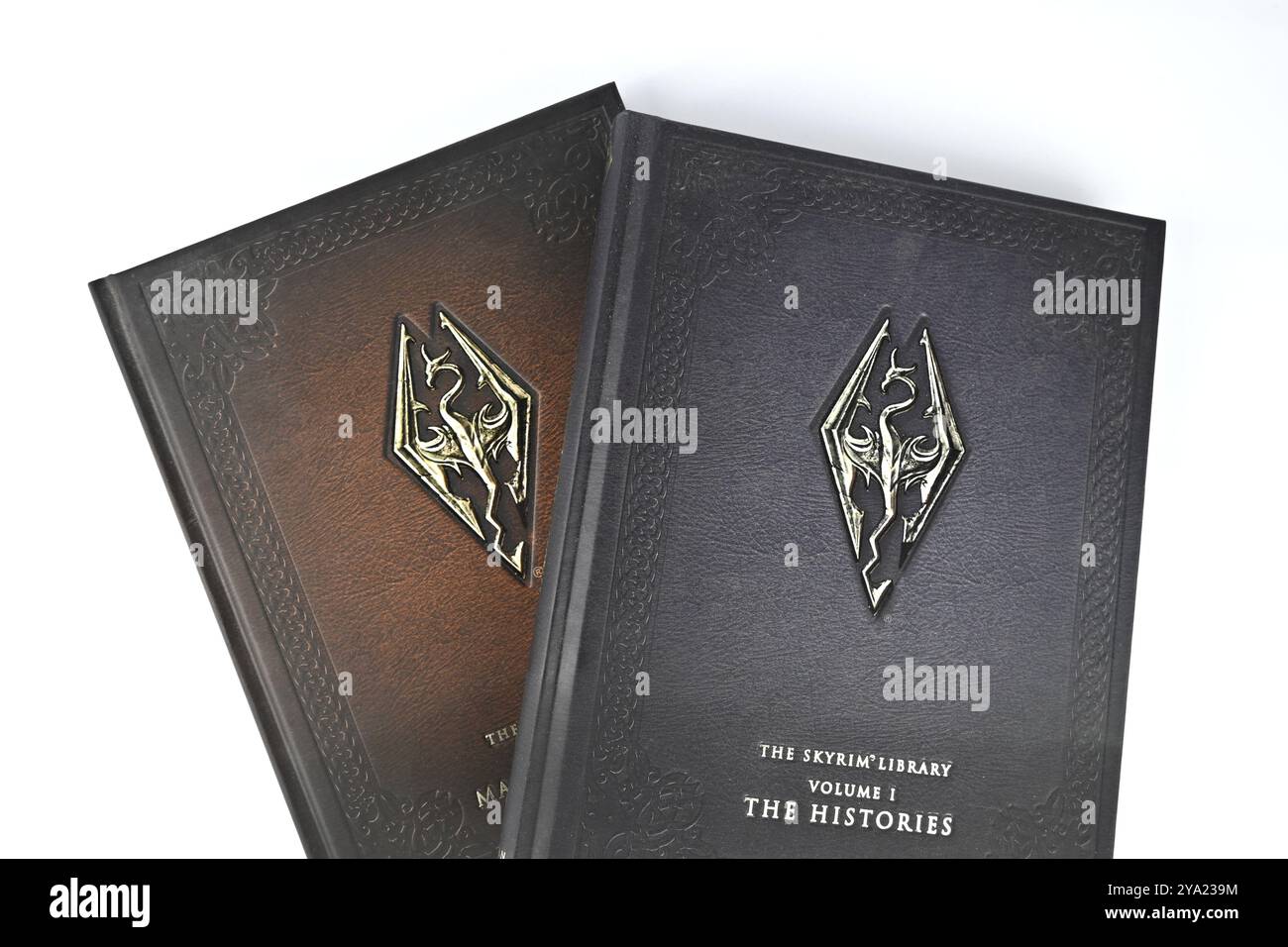 The Elder Scrolls: Skyrim Library Books – Galles, Regno Unito – 09 ottobre 2024 Foto Stock