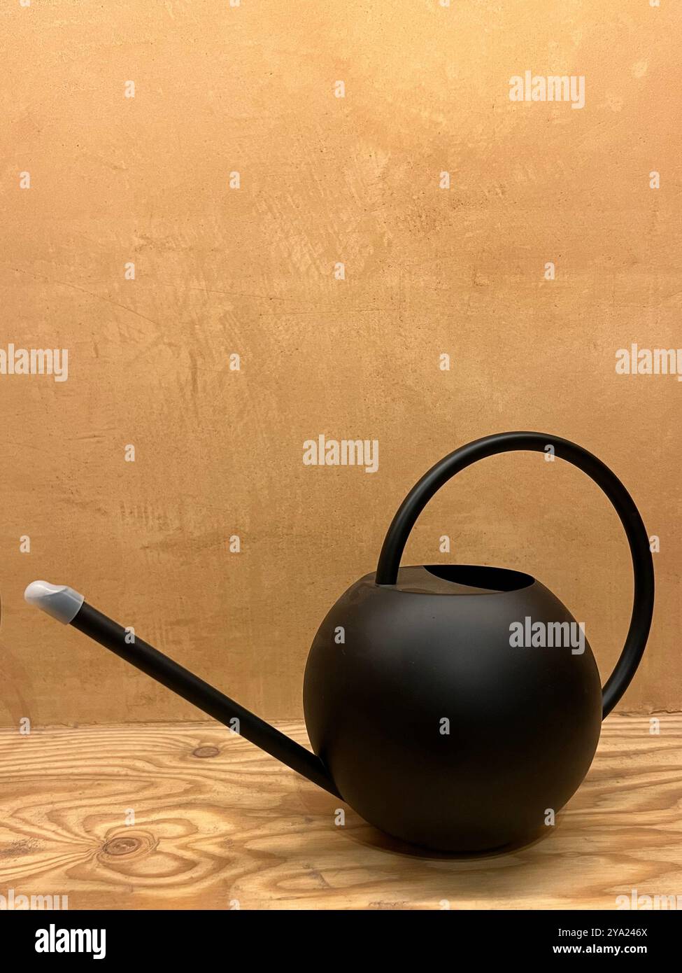 Annaffiatoio nero di forma rotonda, design minimale per l'angolo della pianta in crescita. L'esterno dona un'atmosfera di lusso. Foto Stock