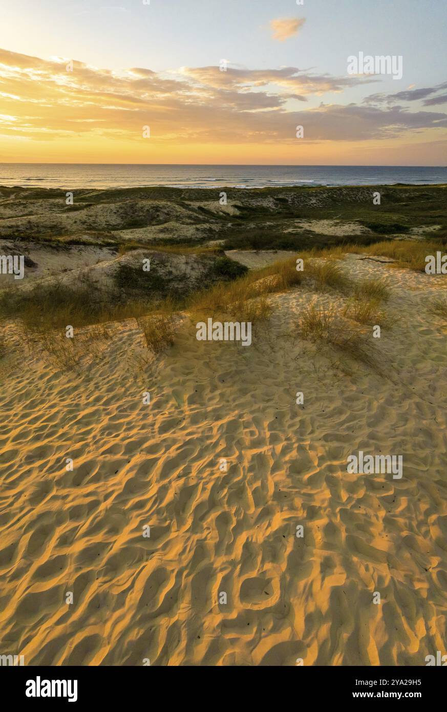 Florianopolis, spiaggia di Campeche all'alba. Brasile. Quartiere di Rio Tavares Foto Stock