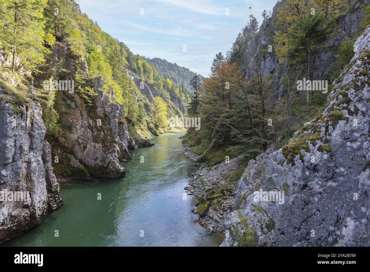 Un fiume che scorre attraverso una stretta gola con alte scogliere boscose, Klobenstein Foto Stock