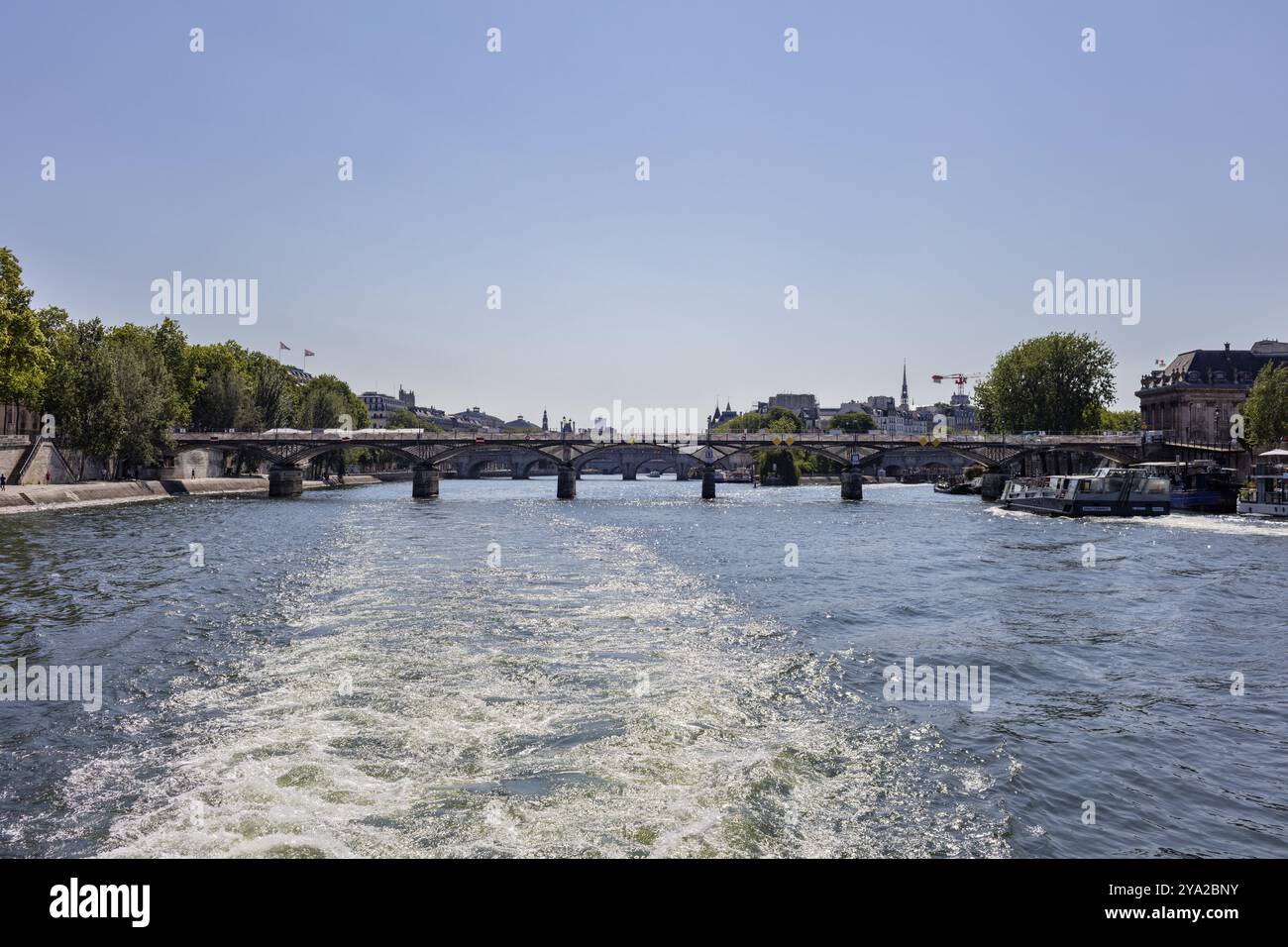 Ammira Parigi lungo un corso d'acqua con diversi ponti e un panorama urbano Foto Stock