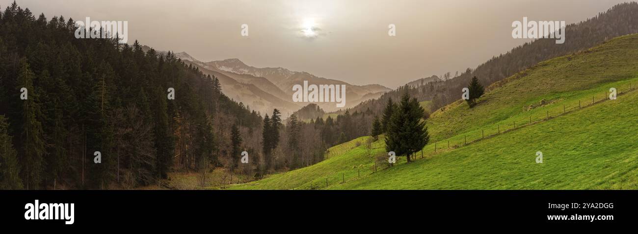 Vista panoramica di un prato verde al tramonto, circondato da foresta e montagne, vista dal piccolo lago Bichlersee Foto Stock