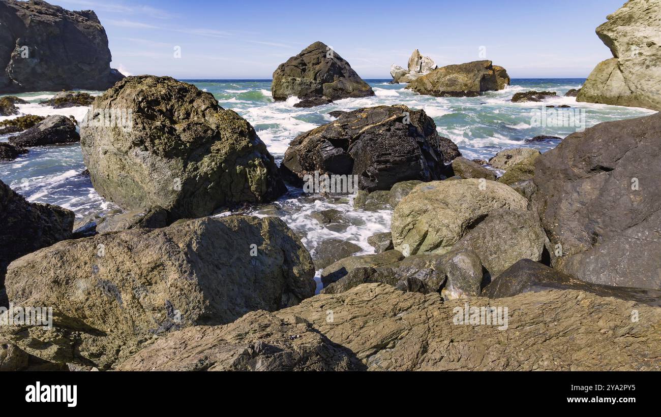 Spiaggia rocciosa e paesaggio, immagine a colori, Pacific Northwest Foto Stock