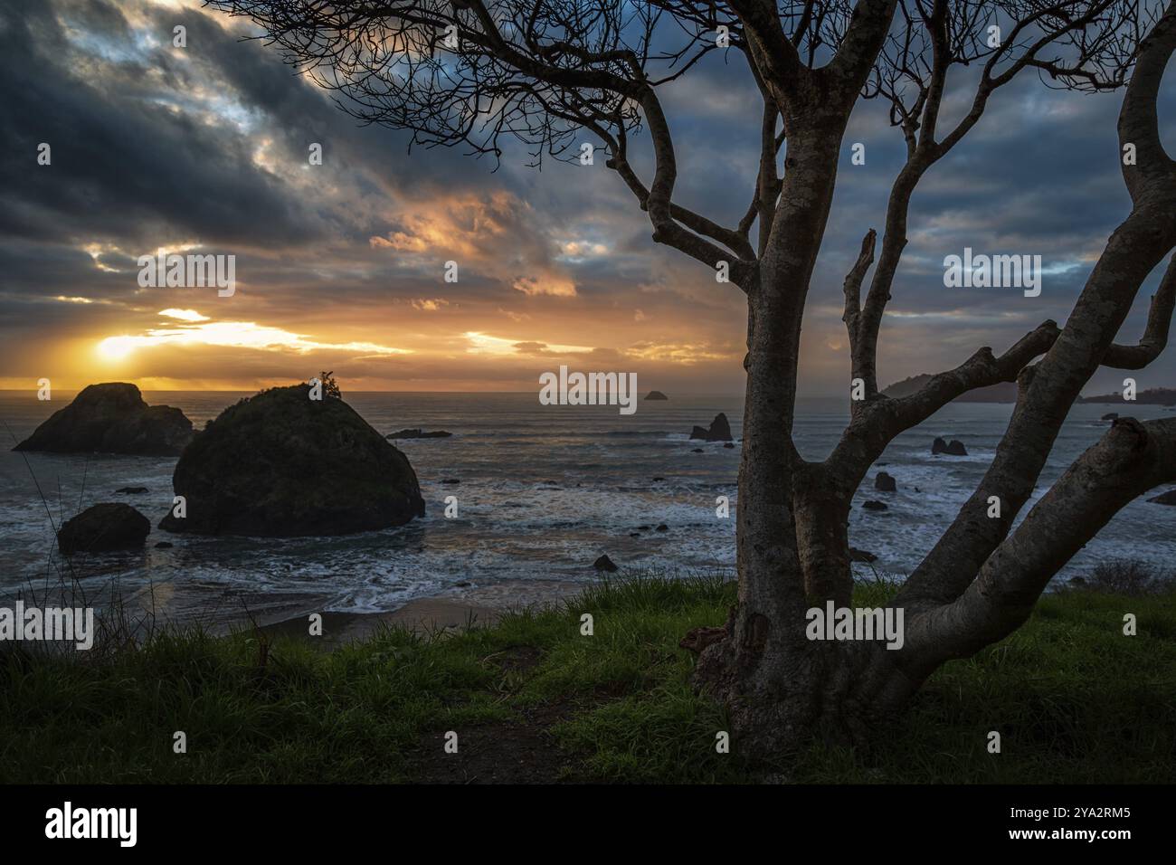 Tramonto a Rocky Beach, California settentrionale, Stati Uniti, Nord America Foto Stock