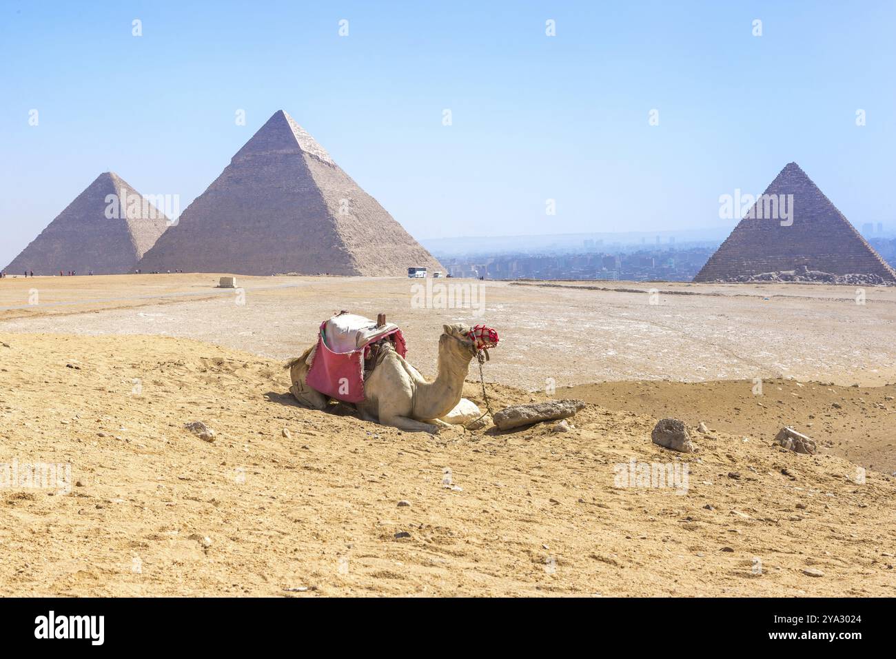 Le piramidi di Giza in Egitto Foto Stock