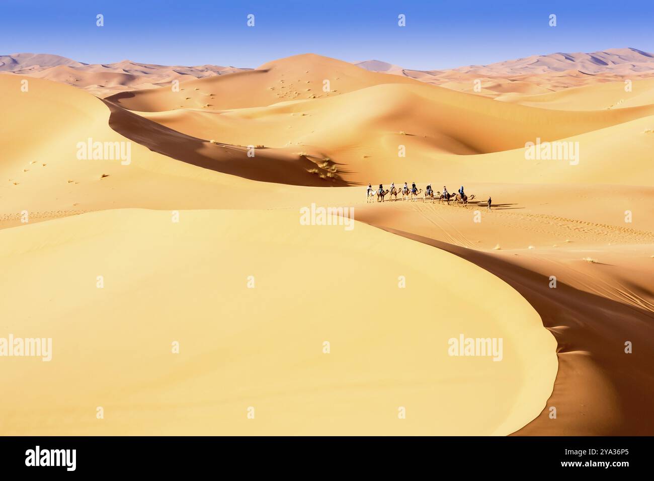 Merzouga nel deserto del Sahara in Marocco Foto Stock