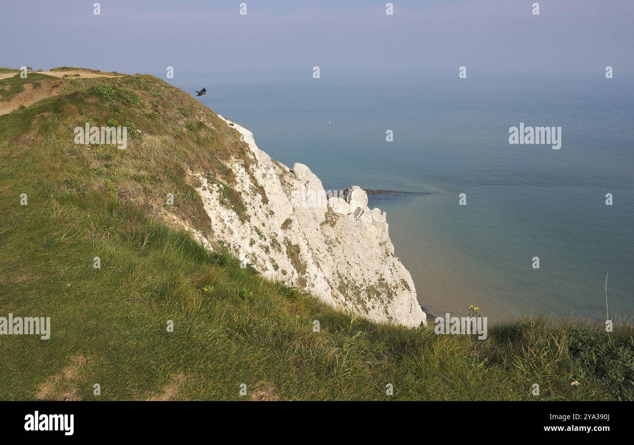 Beachy Head è un promontorio sulla costa meridionale dell'Inghilterra vicino alla città di Eastbourne nell'East Sussex. La scogliera di gesso, parte del South Downs, è con noi Foto Stock