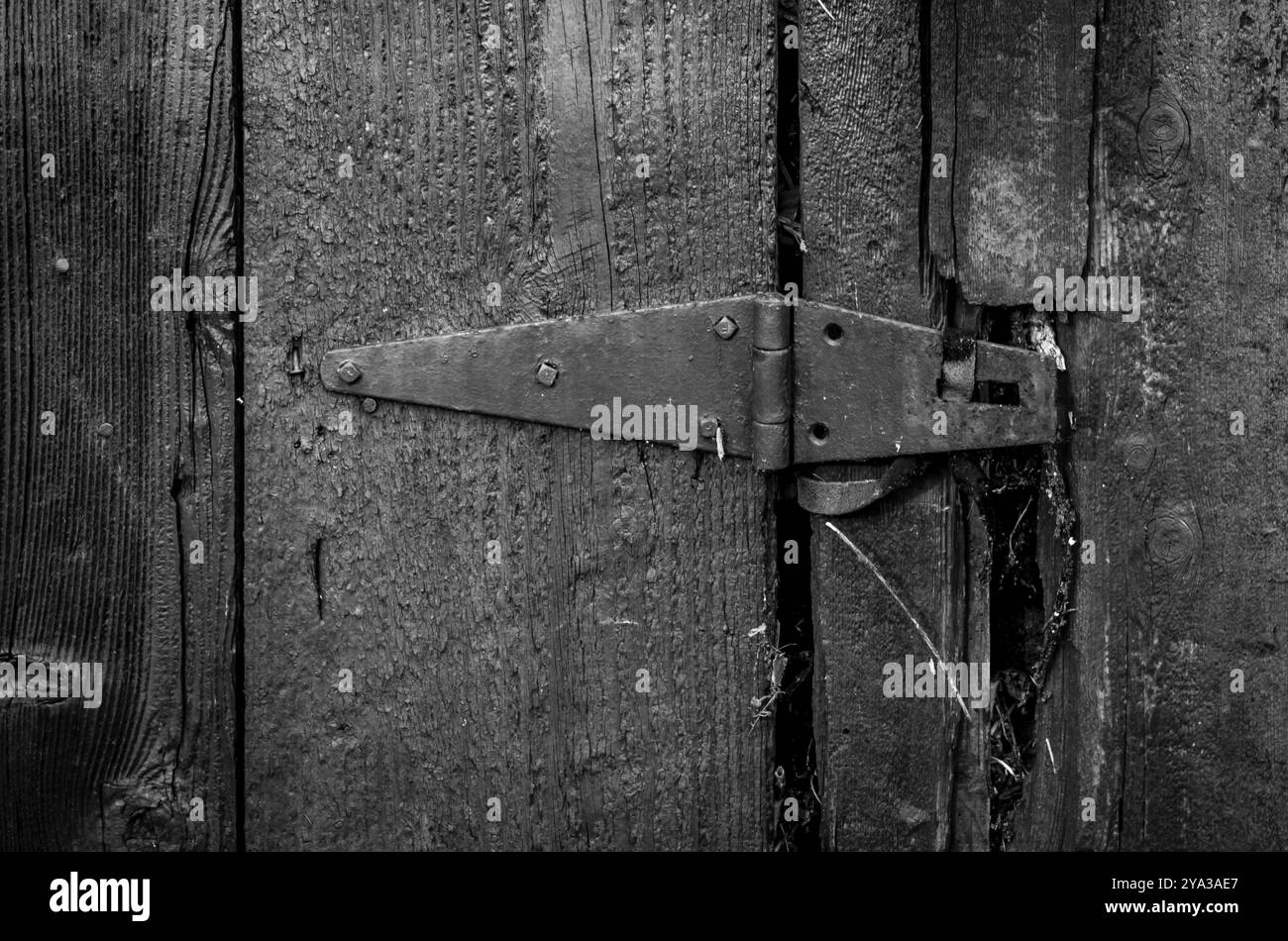 Dettaglio del lato di un vecchio fienile che mostra la consistenza Foto Stock