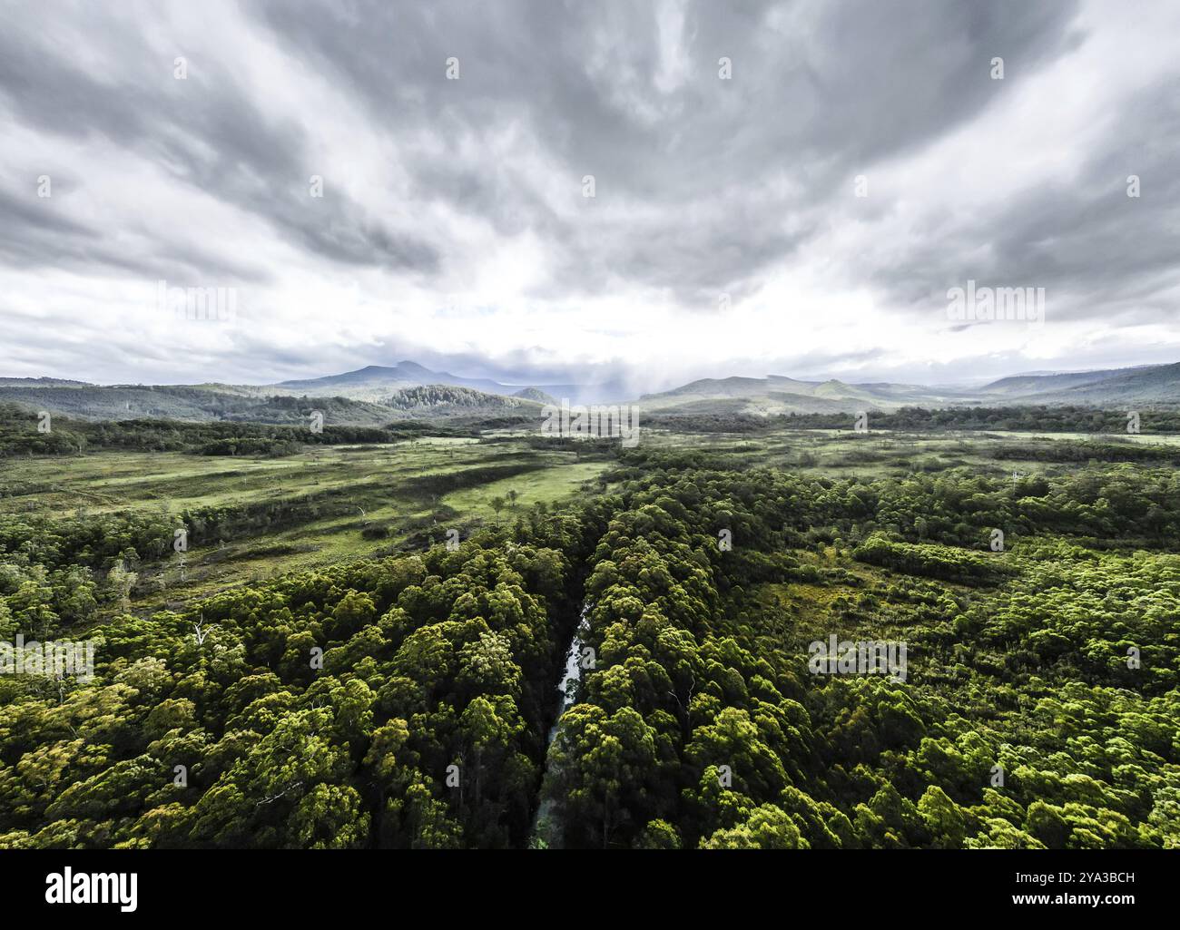 L'area intorno alla riserva forestale di Esperance River in una tempesta giornata estiva nel Southwest National Park vicino a dover, un'area Patrimonio dell'Umanità in Tasmania Austr Foto Stock