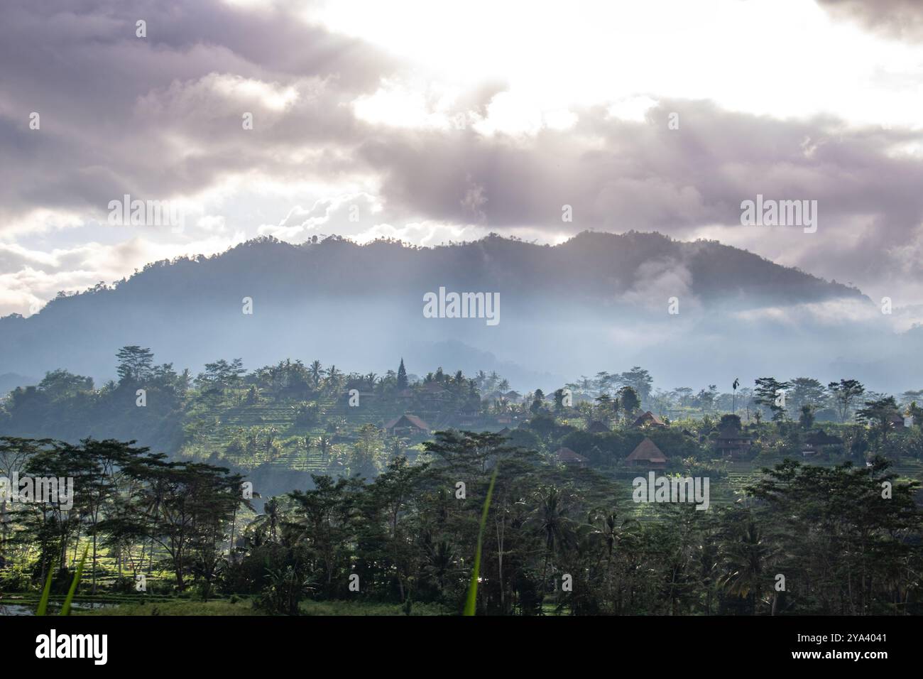 Tipico paesaggio tropicale, natura e cultura sull'isola di Bali, Indonesia Foto Stock