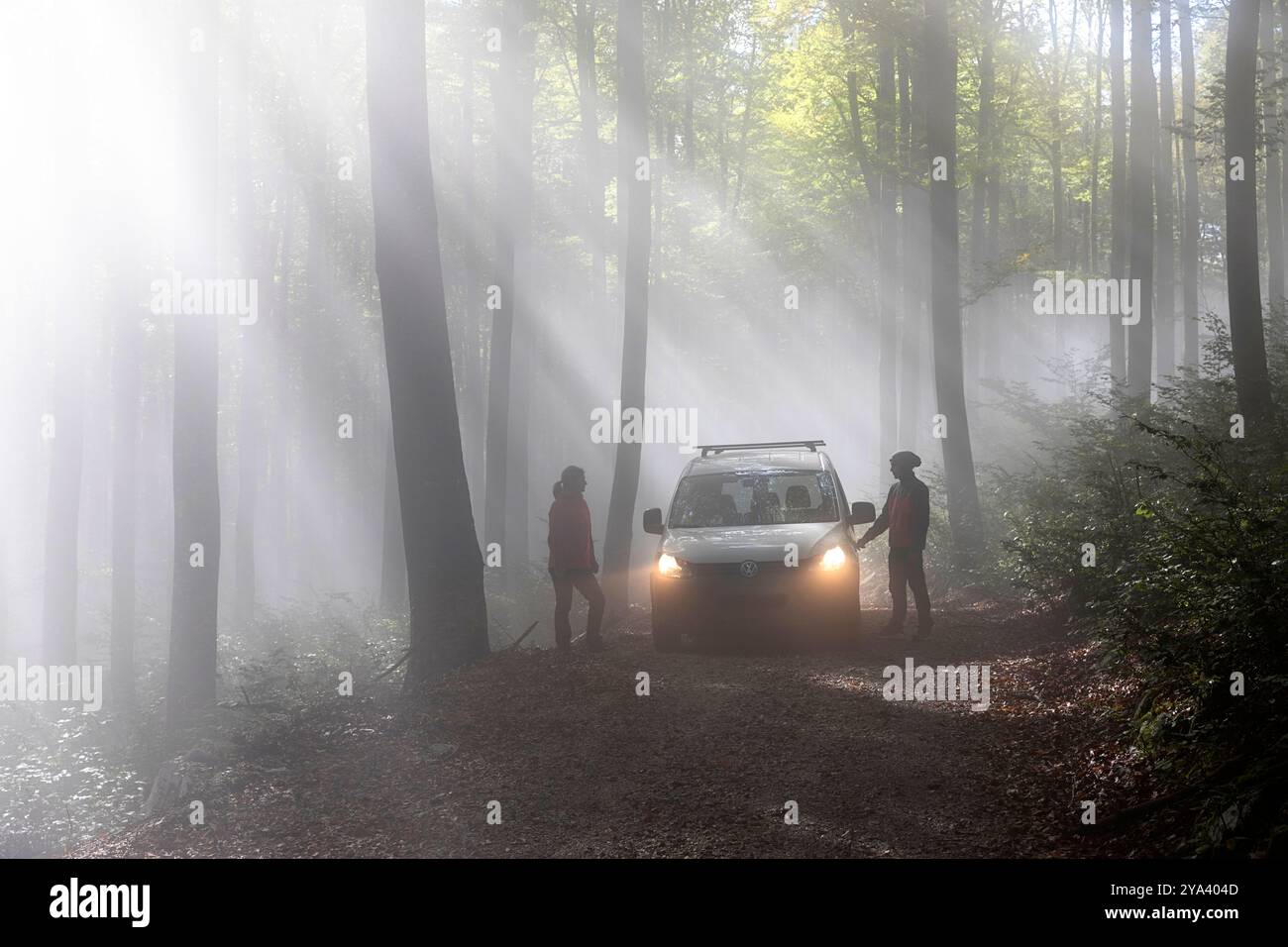 Coppia in piedi accanto a un'auto con i fari accesi, parcheggiata su una strada boschiva nebbiosa mentre raggi drammatici di sole filtrano attraverso la nebbia all'alba. Foto Stock