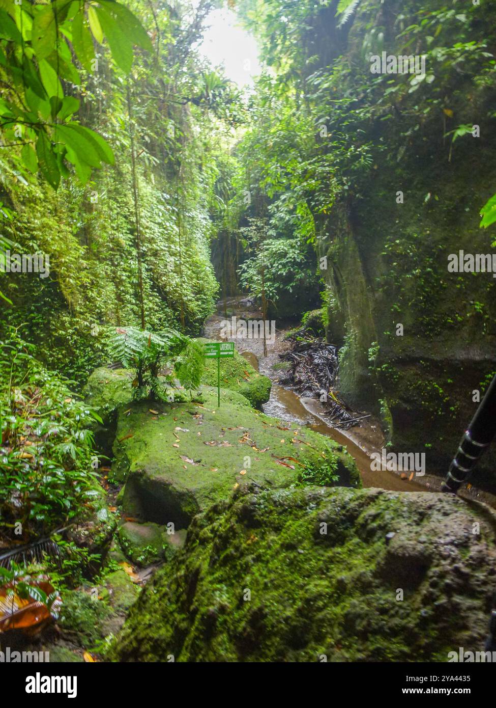Tipico paesaggio tropicale, natura e cultura sull'isola di Bali, Indonesia Foto Stock