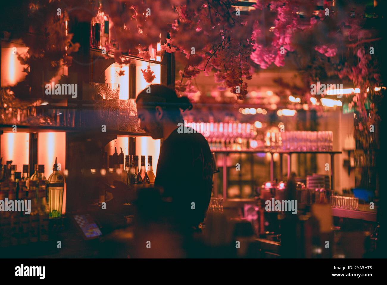 Paris le jour, Paris la nuit Foto Stock