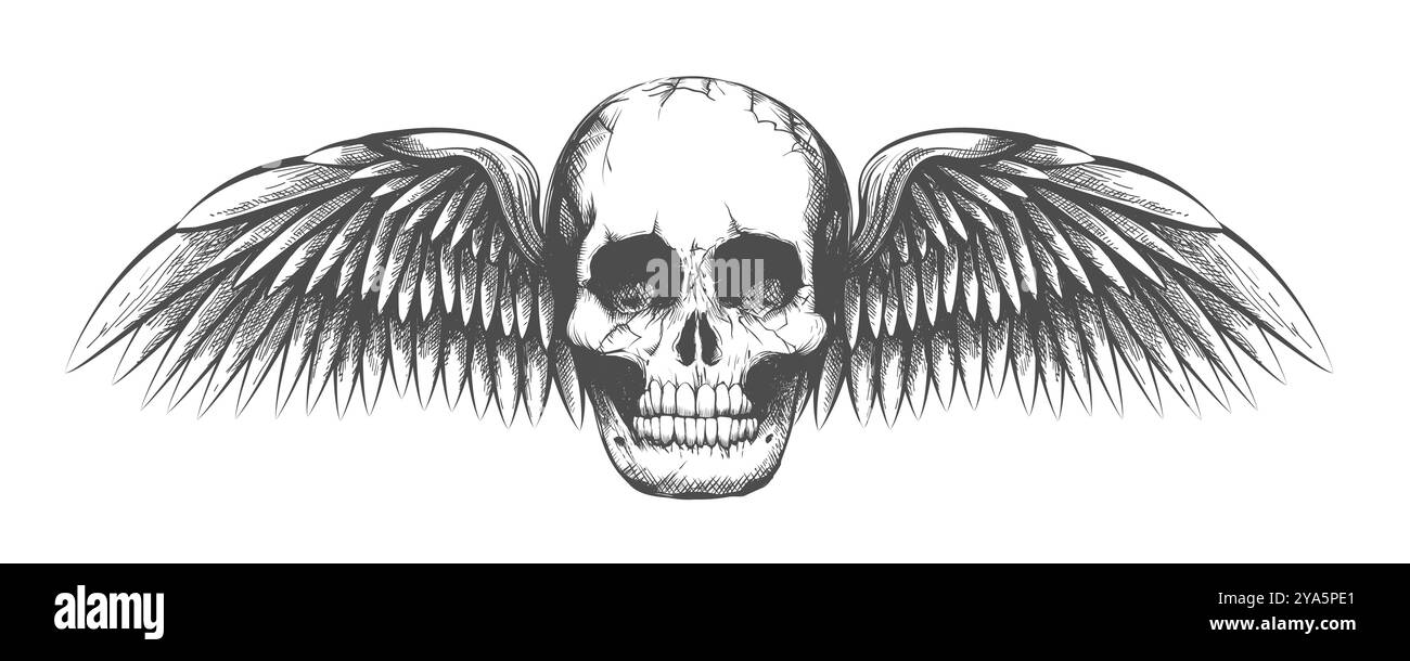 Tatuaggio disegnato a mano del cranio umano con ali isolate su sfondo bianco illustrazione vettoriale Illustrazione Vettoriale