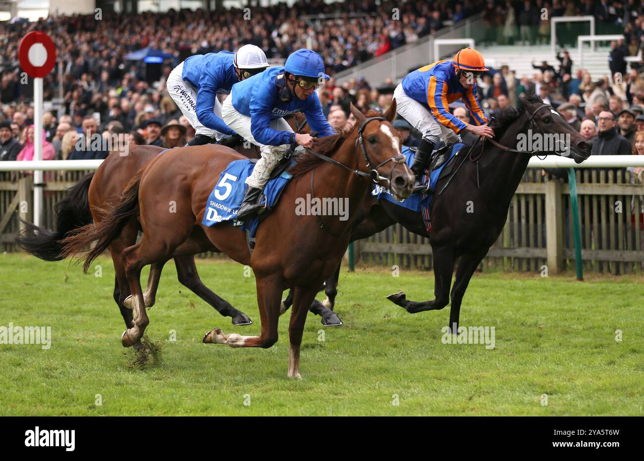 Shadow of Light guidato da William Buick (a sinistra) che torna a casa per vincere le Darley Dewhurst Stakes durante il Dubai Future Champions Day all'ippodromo di Newmarket. Data foto: Sabato 12 ottobre 2024. Foto Stock