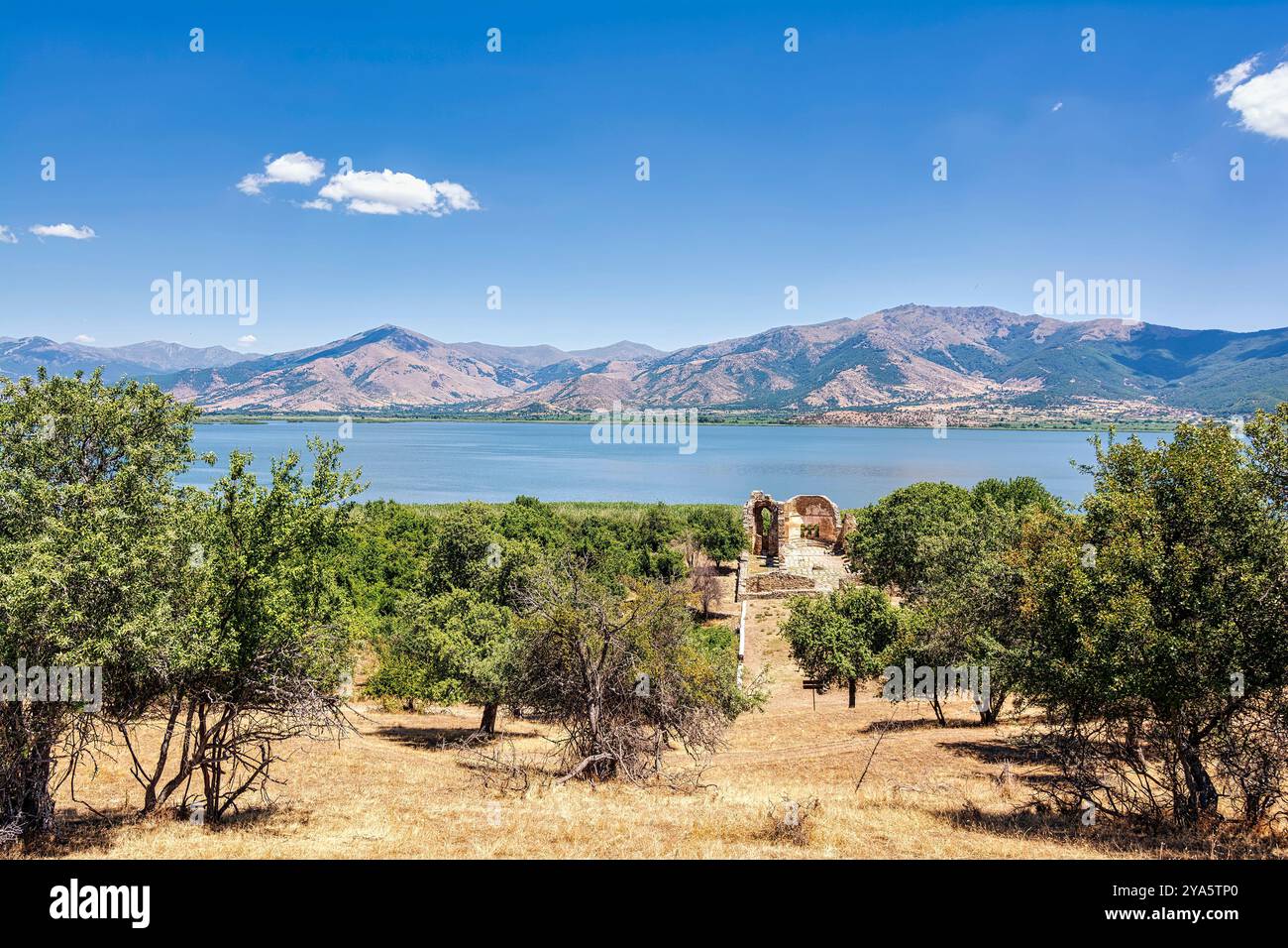 La Basilica di Agios Achilleios, una chiesa cristiana in rovina del X-XI secolo, situata sull'isola di Agios Achilleios nel lago Mikri Prespa, in Grecia. Foto Stock