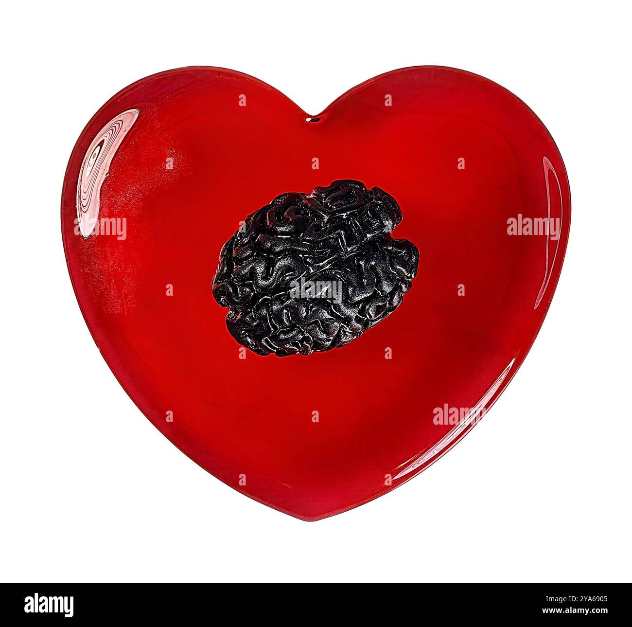 Cervelli umani anneriti pieni di malattie o pensieri oscuri dopo una brutta storia d'amore Foto Stock