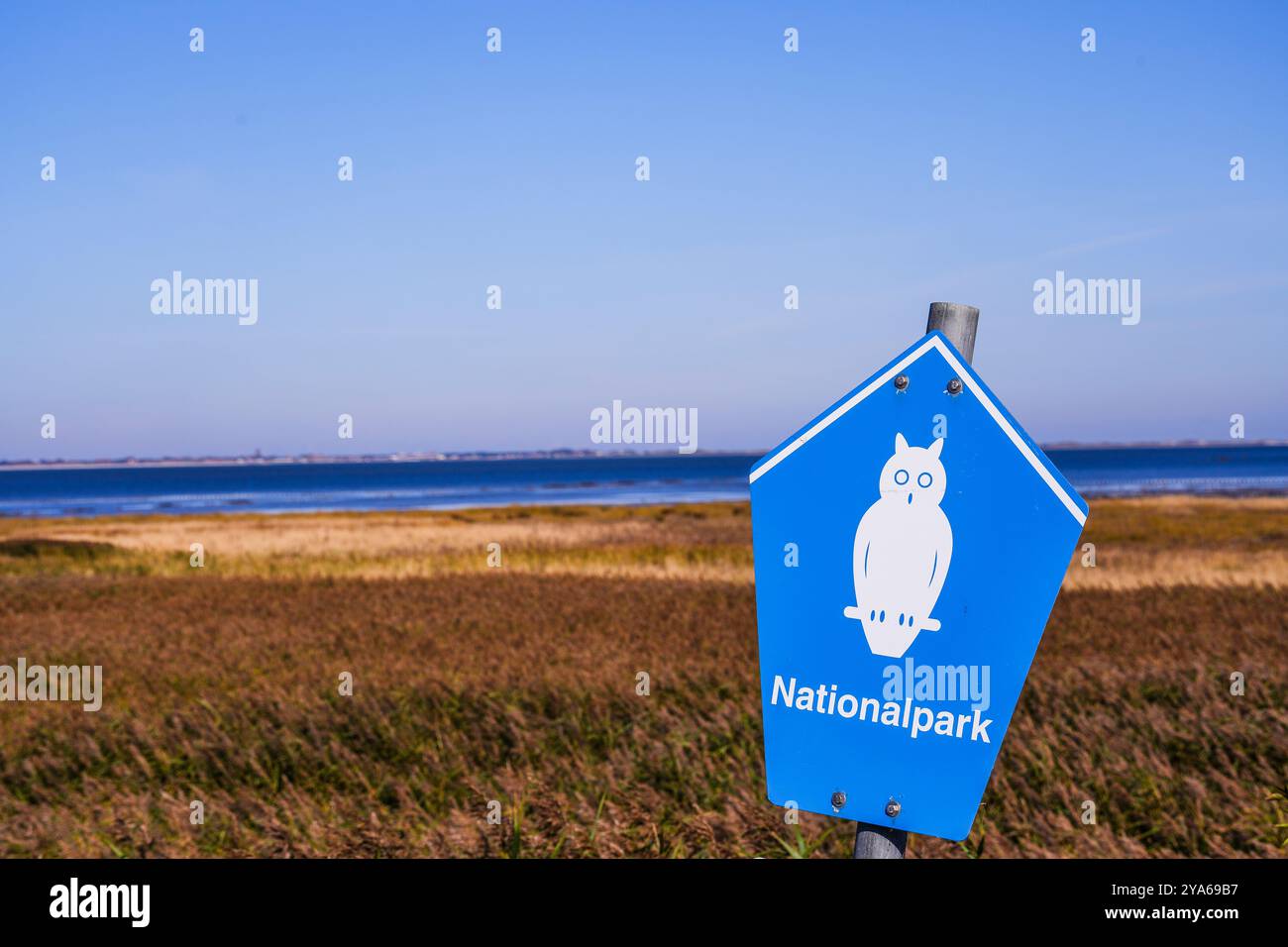 Norddeich, Frisia Orientale, Germania. Splendido paesaggio nel Parco Nazionale della riserva ornitologica sul Mare di Wadden a Norddeich. 6 ottobre 2024 Foto Stock