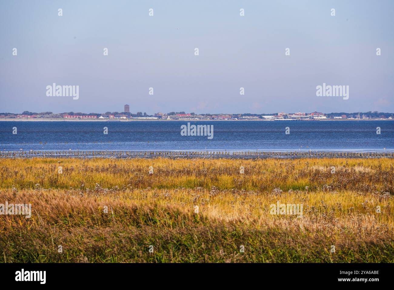 Norddeich, Frisia Orientale, Germania. Splendido paesaggio nel Parco Nazionale della riserva ornitologica sul Mare di Wadden a Norddeich con vista su Norderney Foto Stock